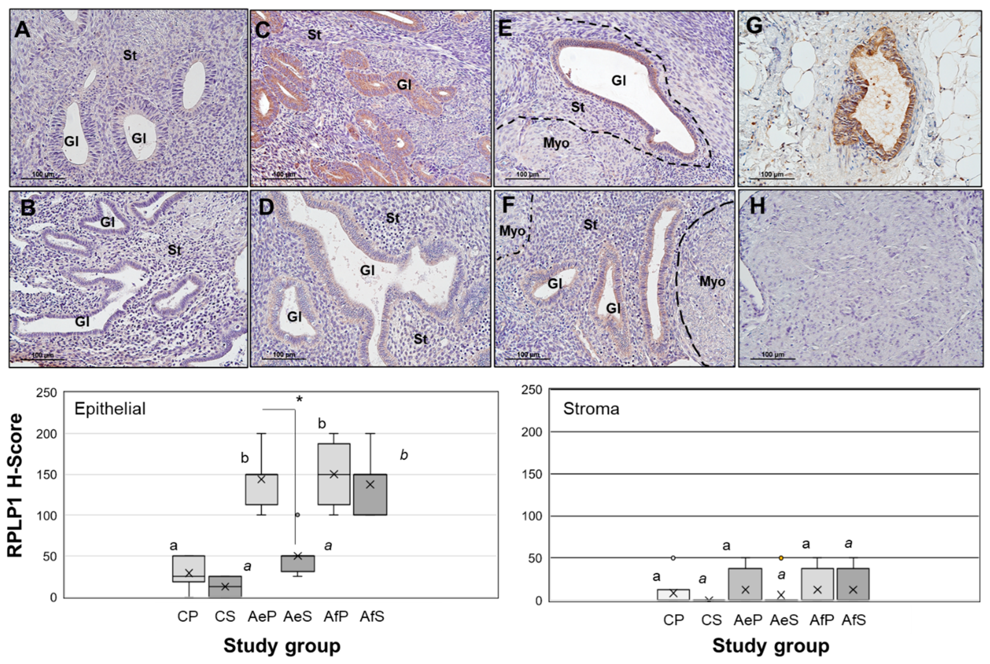 Ijms 24 02690 g001 Ijms 24 02690 g001