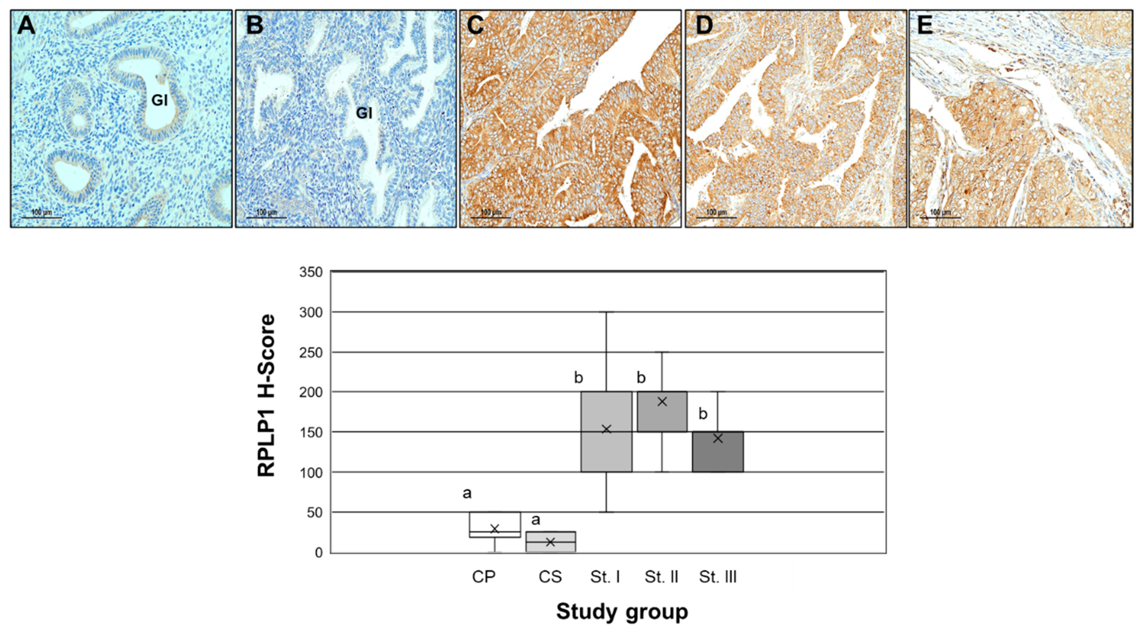 Ijms 24 02690 g002 Ijms 24 02690 g002