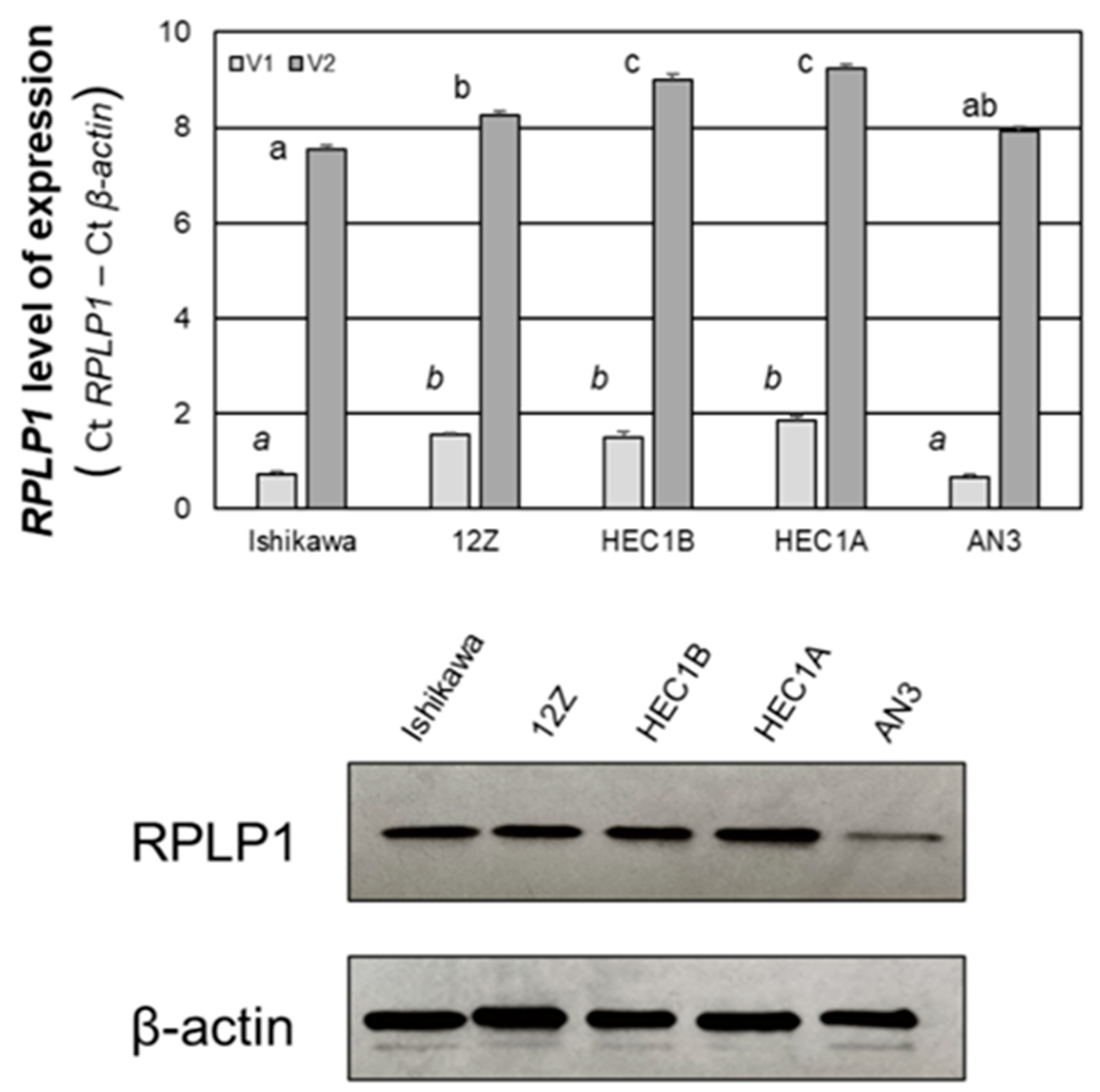 Ijms 24 02690 g005 Ijms 24 02690 g005