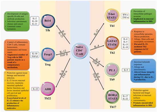 CD4 T-Cell Subsets and the Pathophysiology of Inflammatory