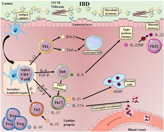 Post-translational modifications on the retinoblastoma