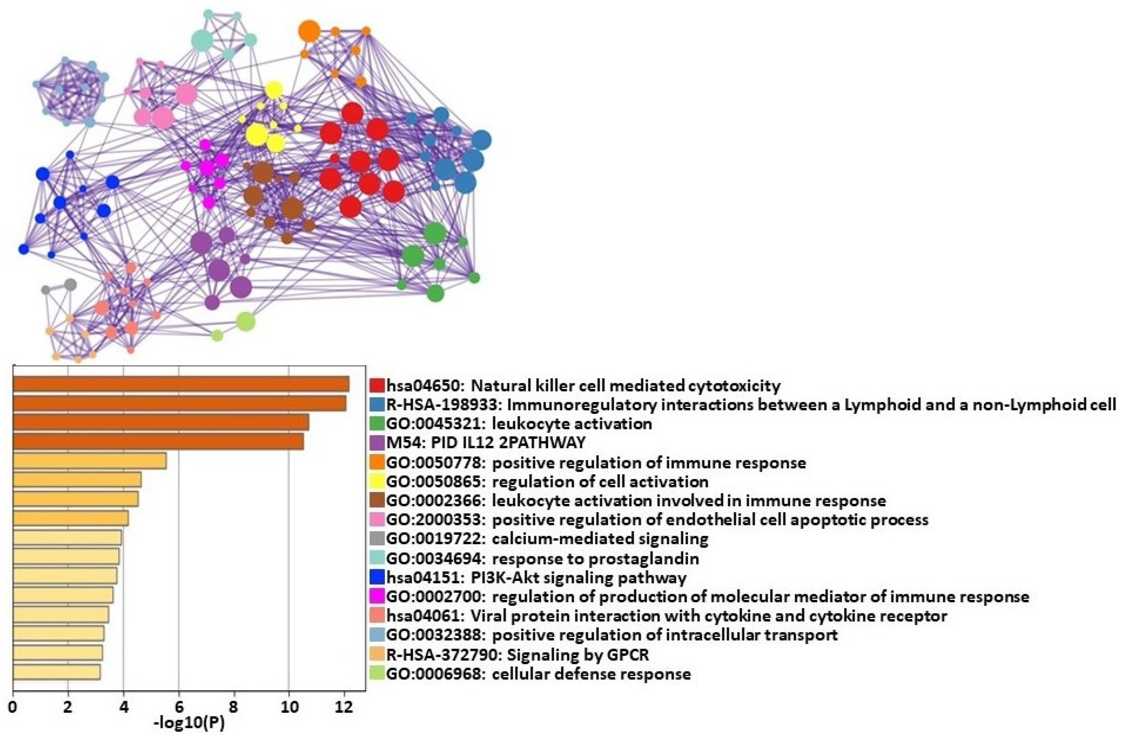 Ijms 24 02698 g001 Ijms 24 02698 g001