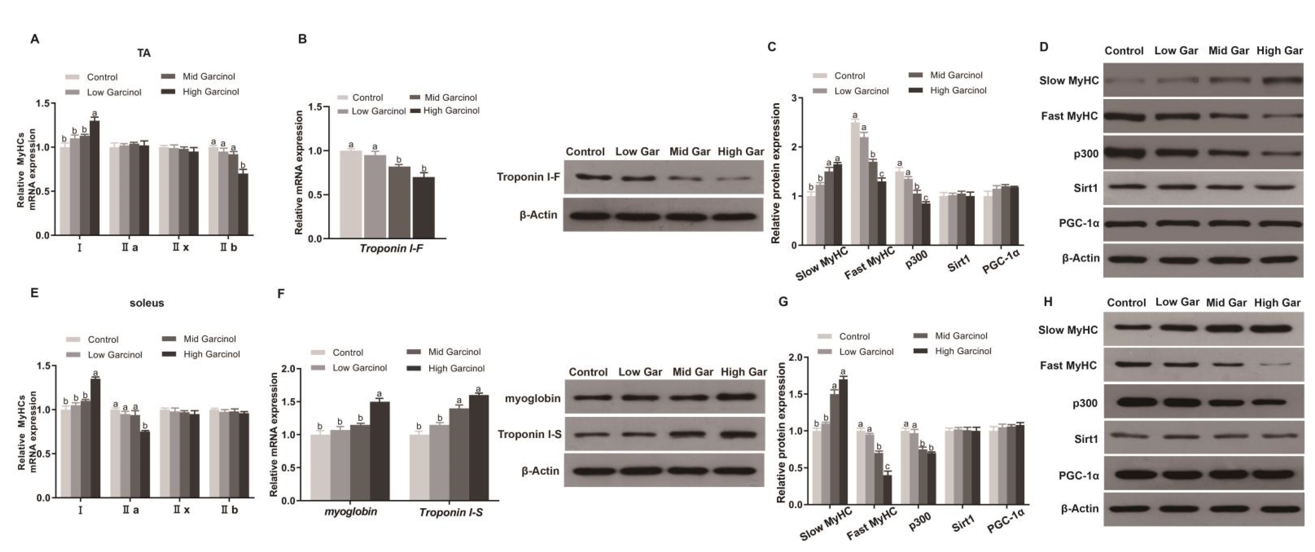 Ijms 24 02702 g002 Ijms 24 02702 g002