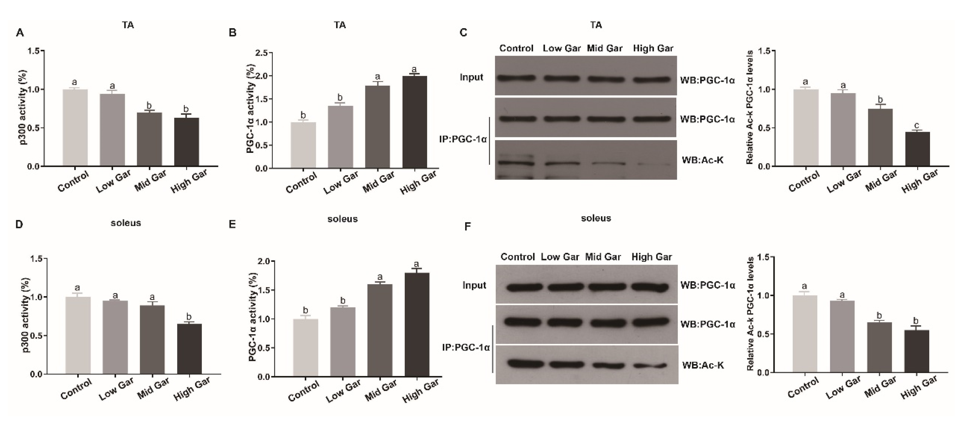Ijms 24 02702 g003 Ijms 24 02702 g003