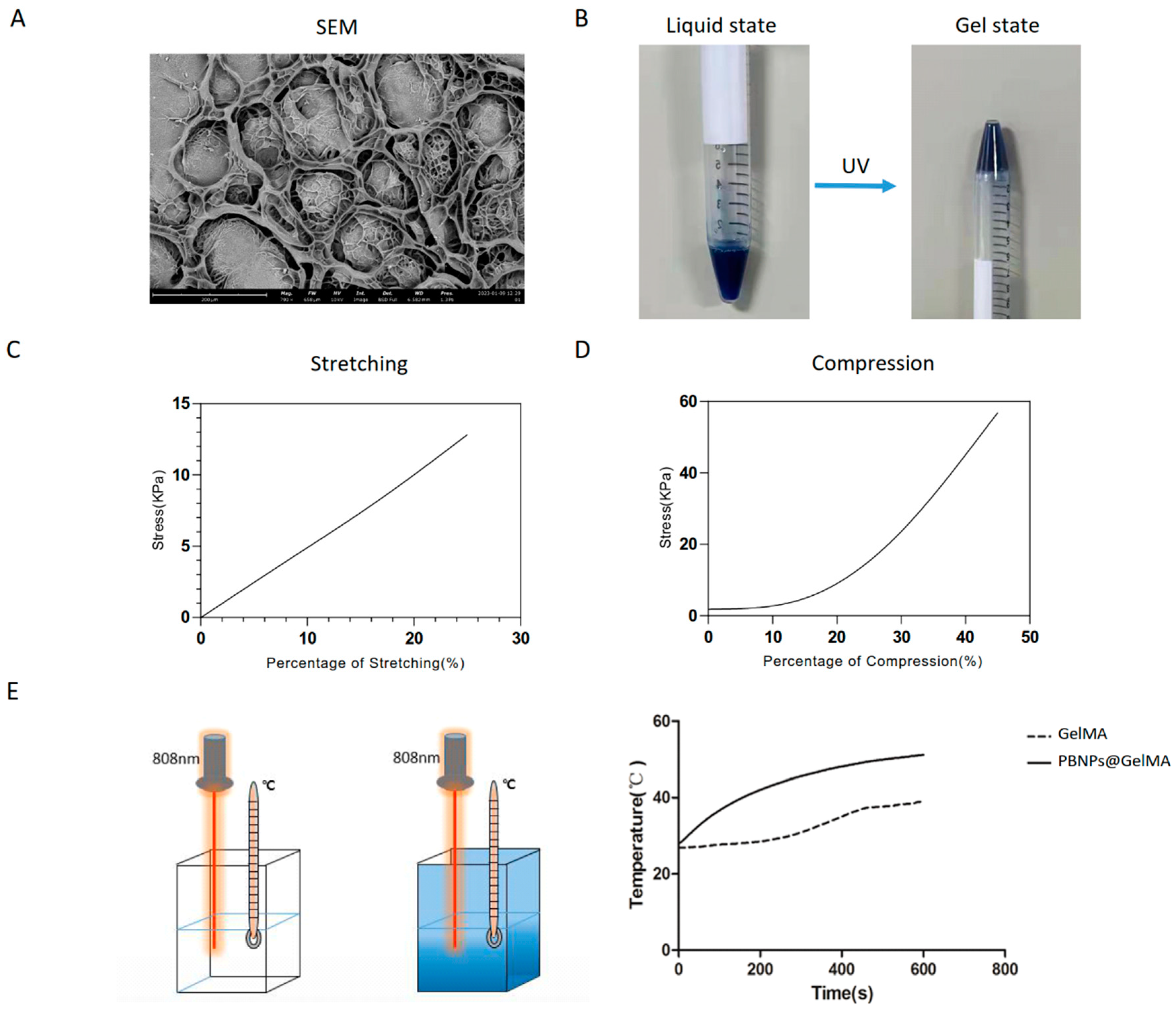 Ijms 24 02704 g001 Ijms 24 02704 g001