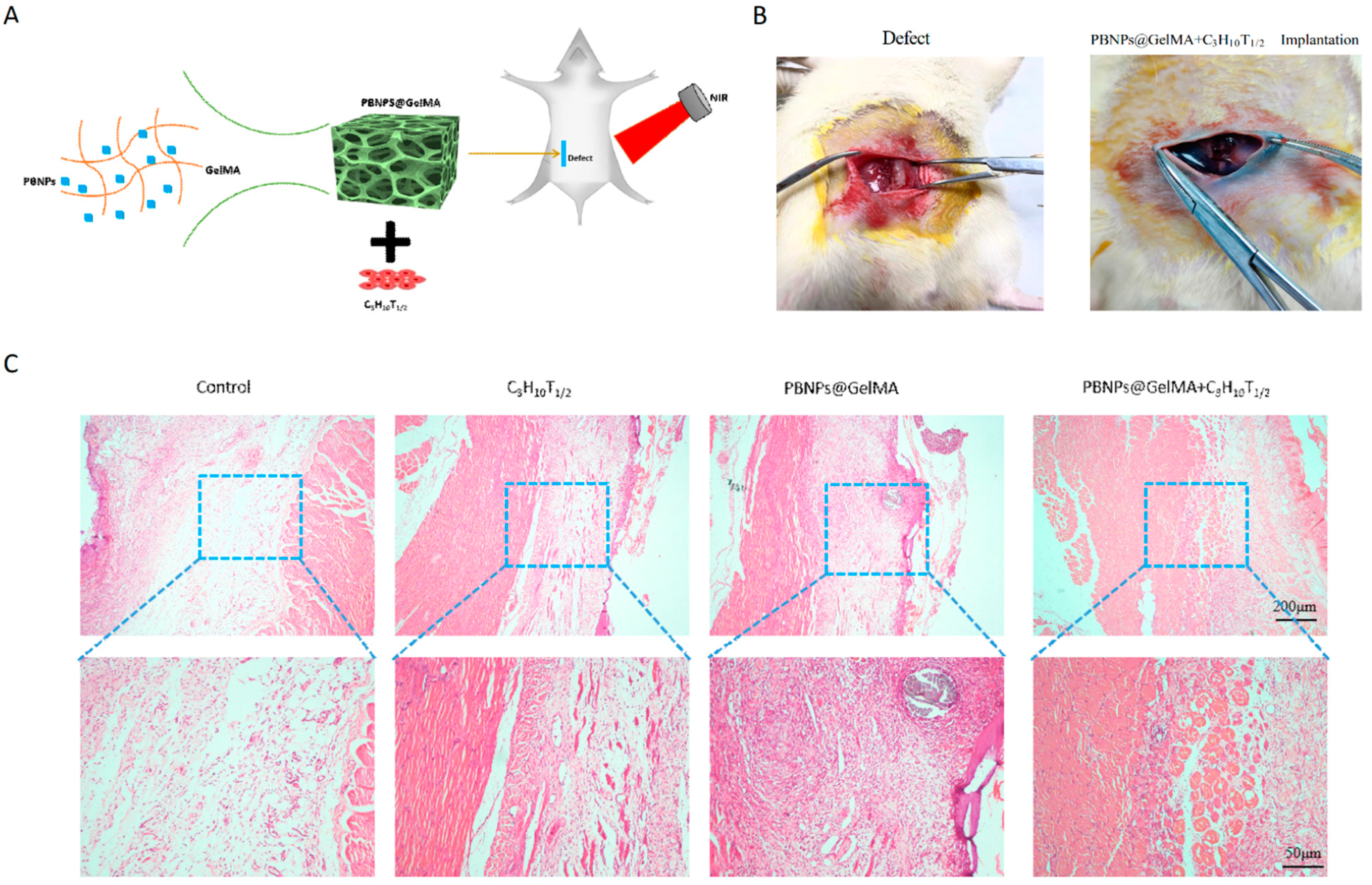 Ijms 24 02704 g004 Ijms 24 02704 g004