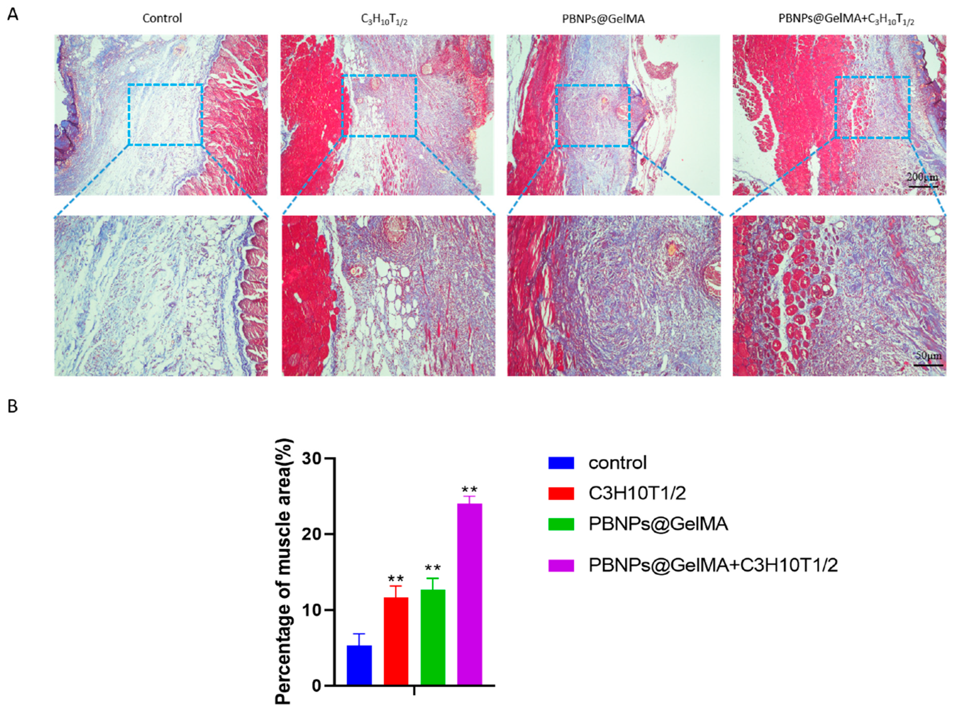 Ijms 24 02704 g005 Ijms 24 02704 g005