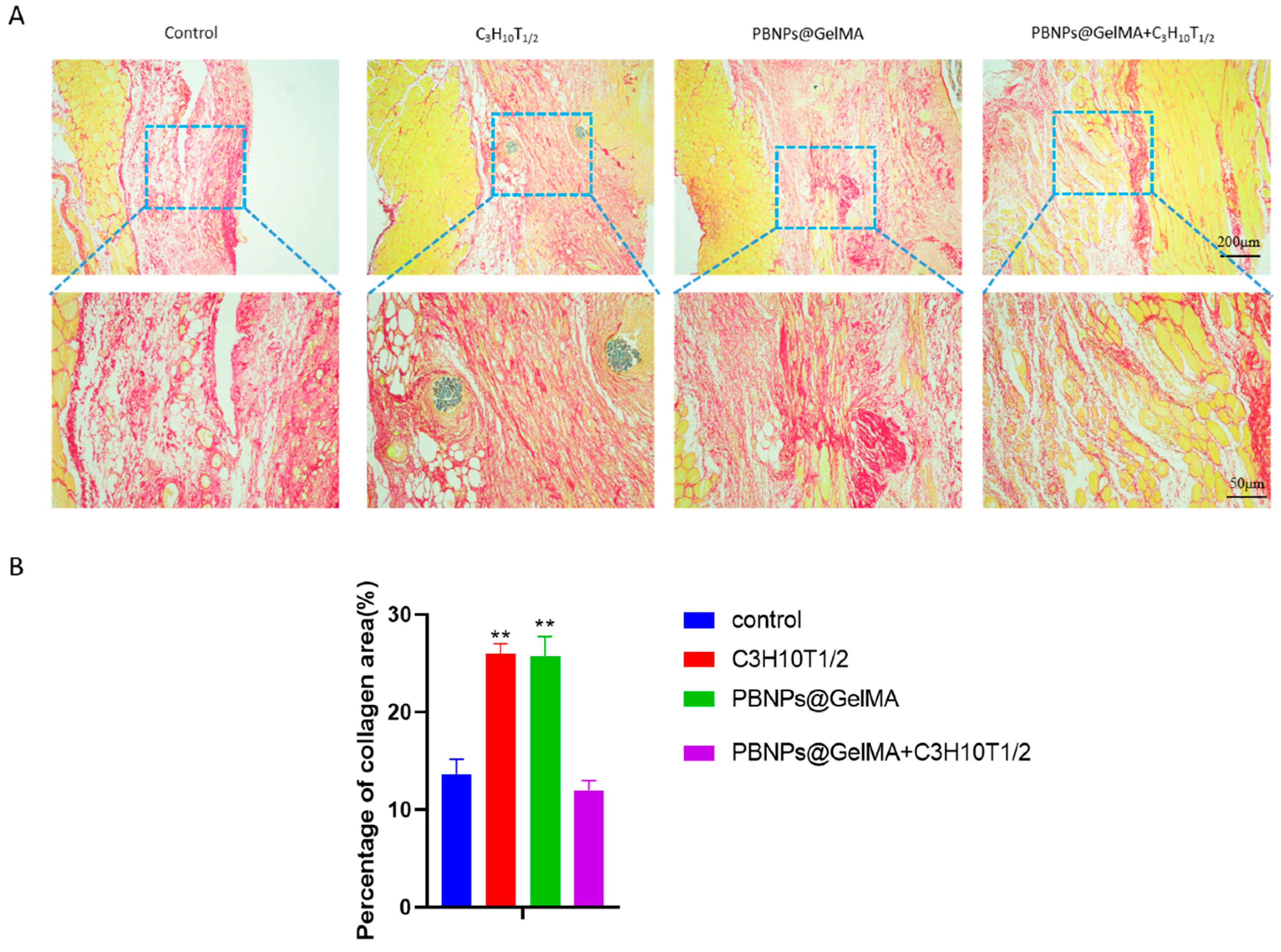 Ijms 24 02704 g006 Ijms 24 02704 g006