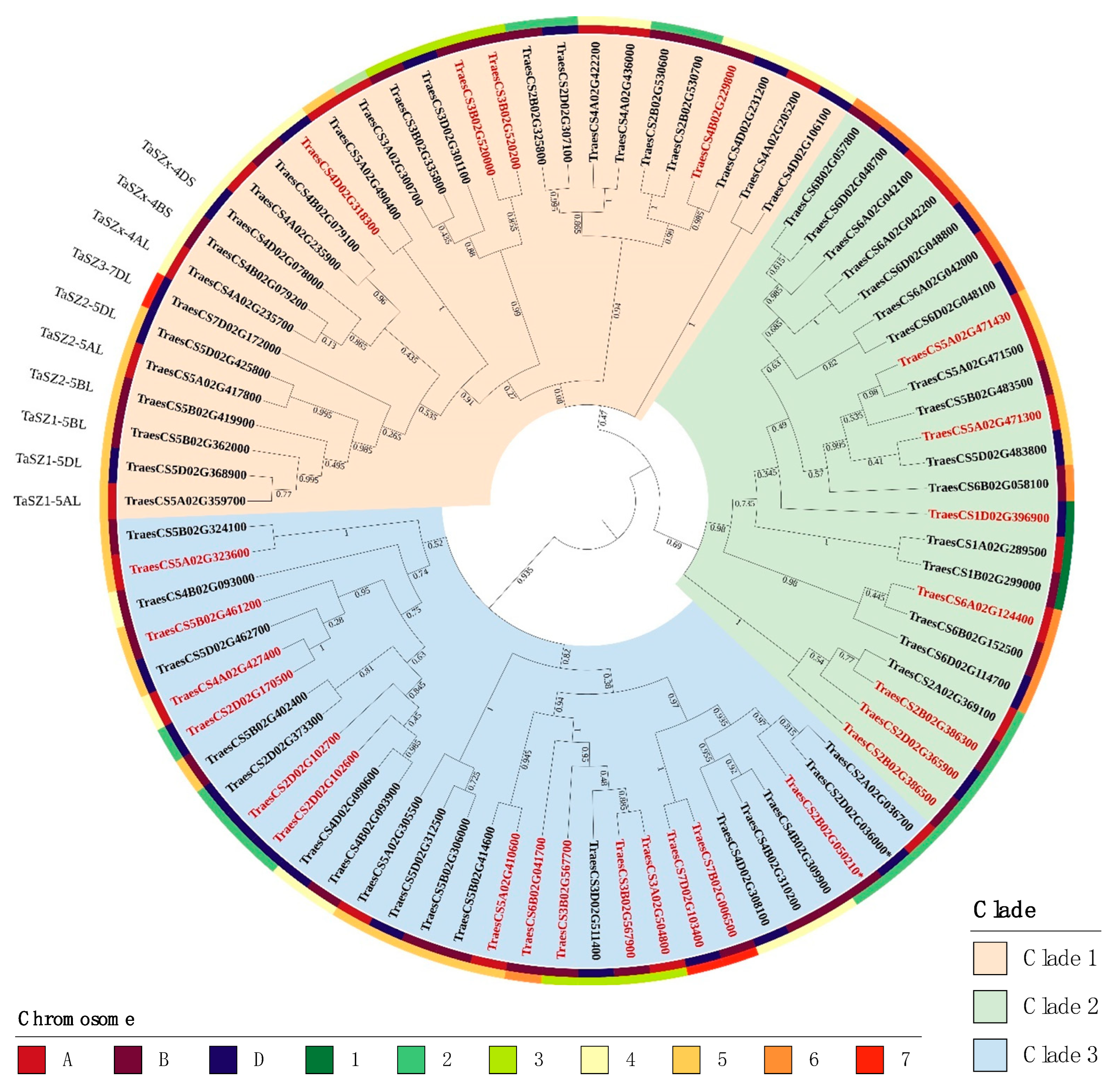 Genes Encoding Structurally Conserved Serpins in the Wheat Genome