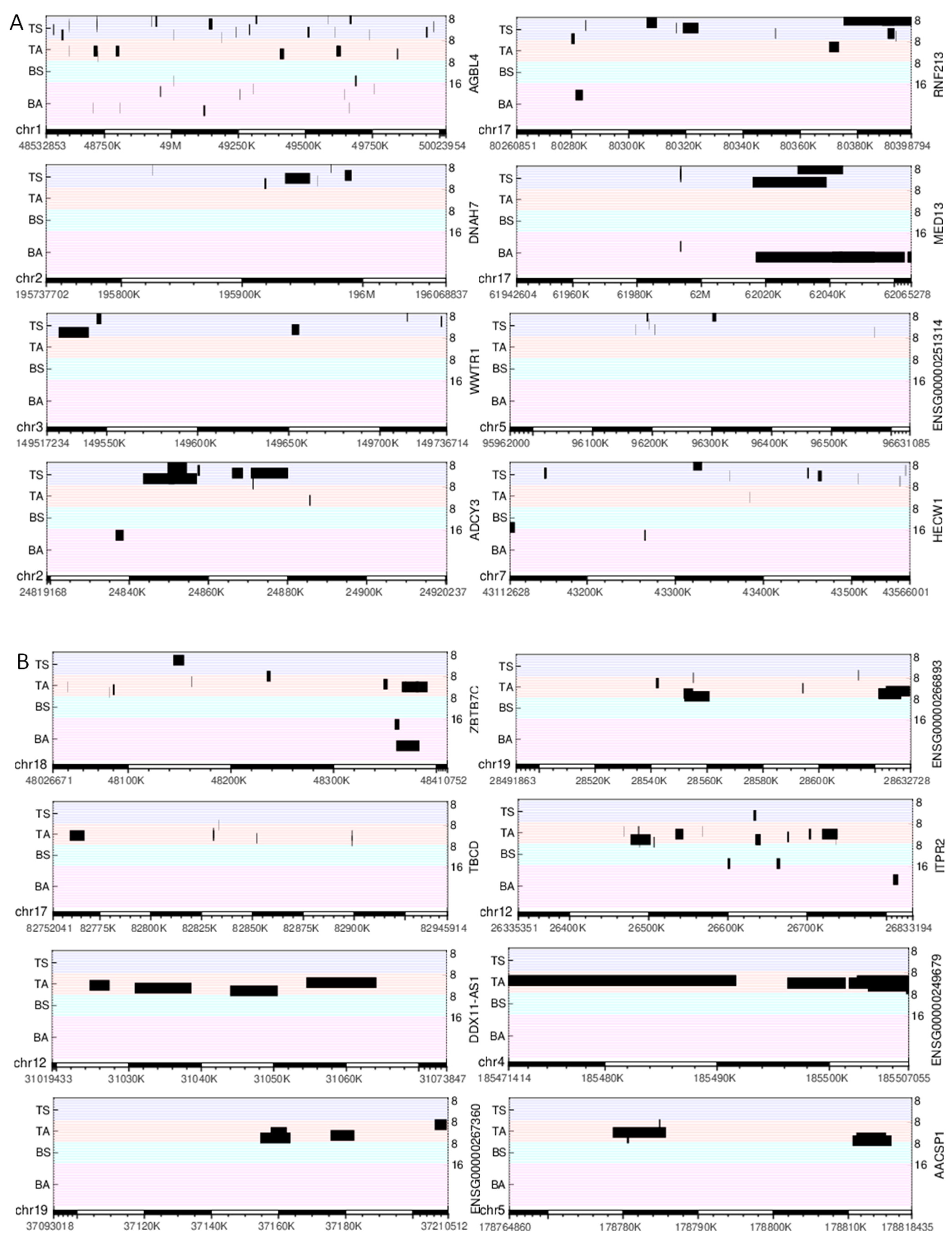 Ijms 24 02736 g006 Ijms 24 02736 g006