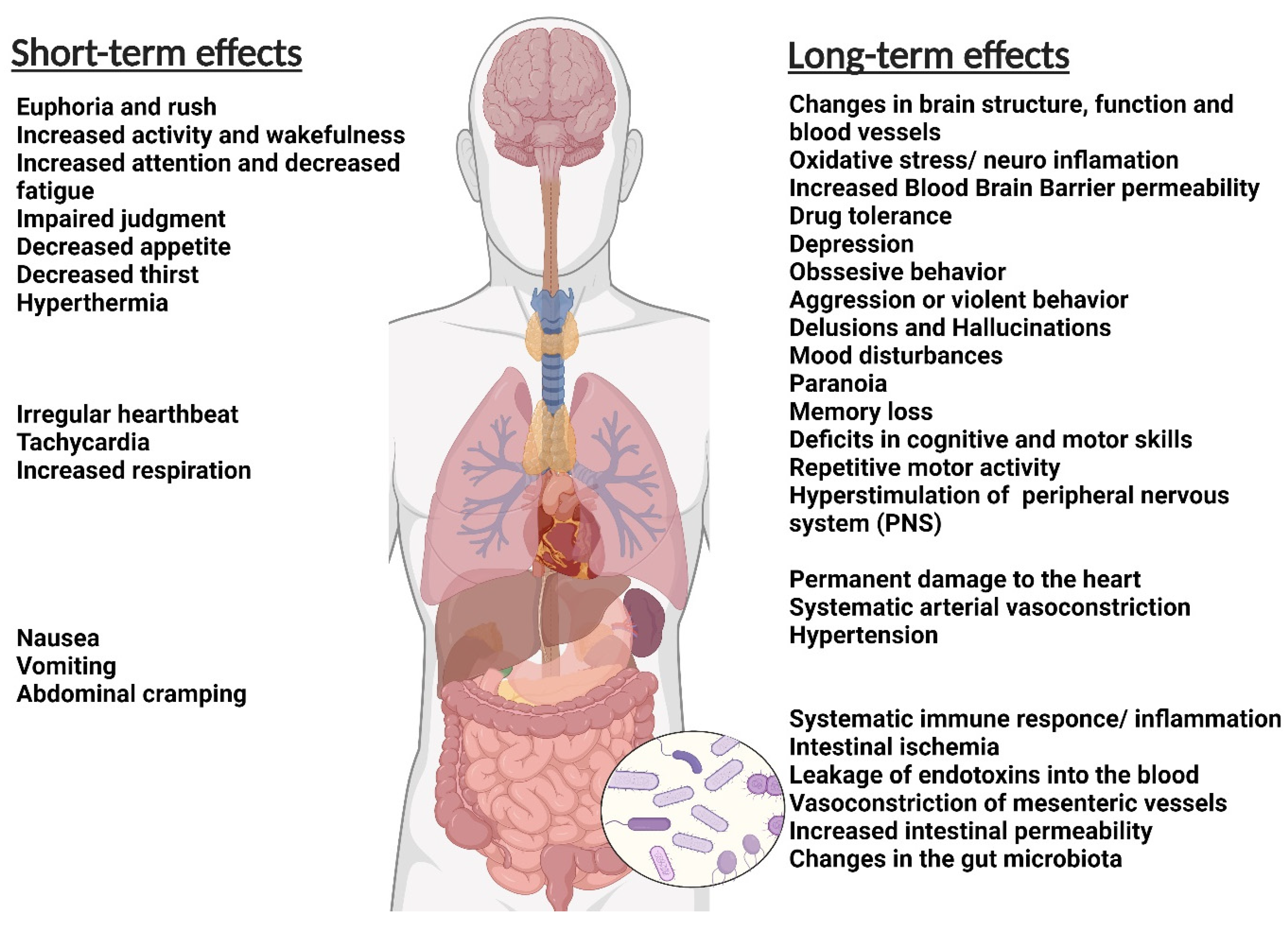 IJMS Free Full-Text Tryptophan and Substance Abuse Mechanisms and Impact