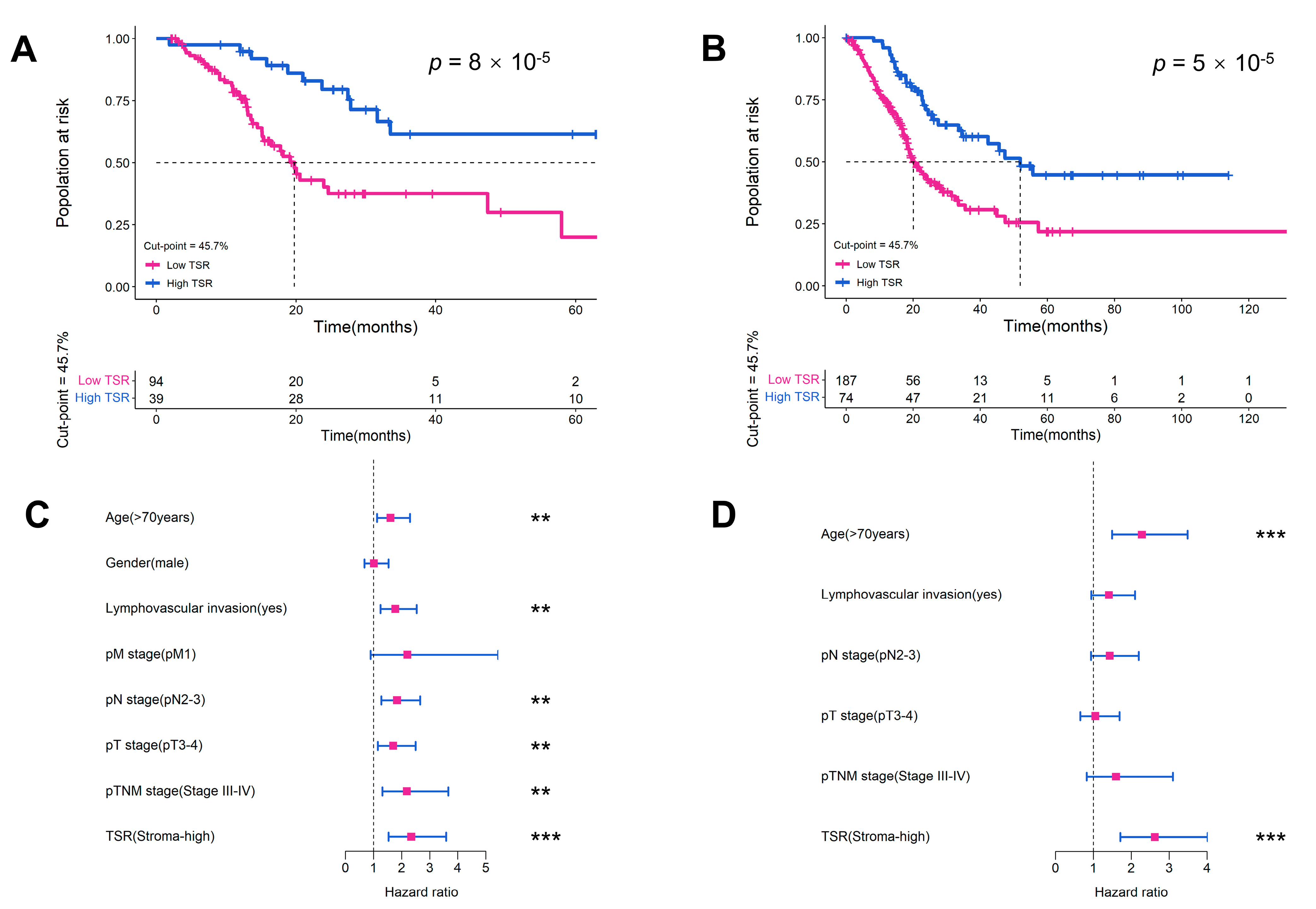 Ijms 24 02746 g003 Ijms 24 02746 g003