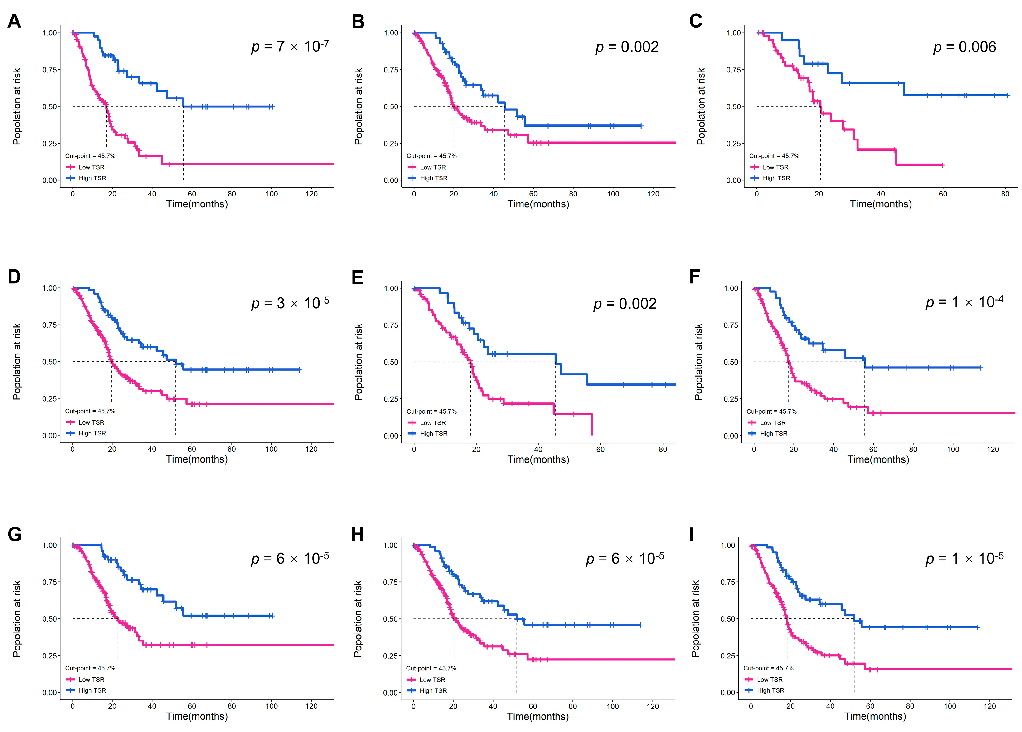 Ijms 24 02746 g004 Ijms 24 02746 g004