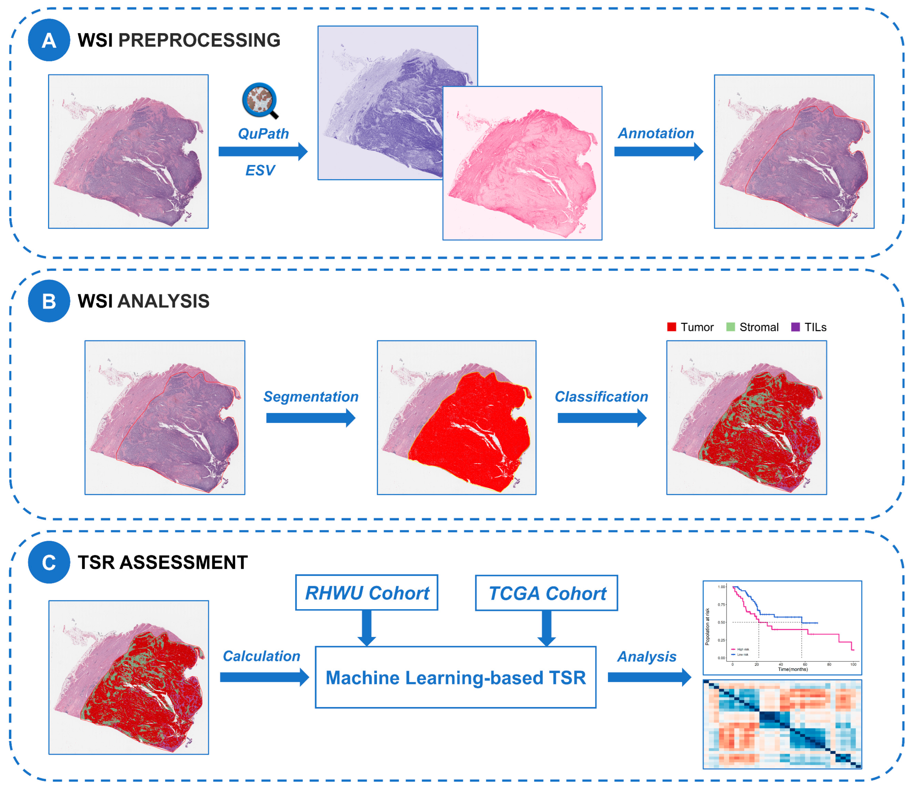 Ijms 24 02746 g006 Ijms 24 02746 g006