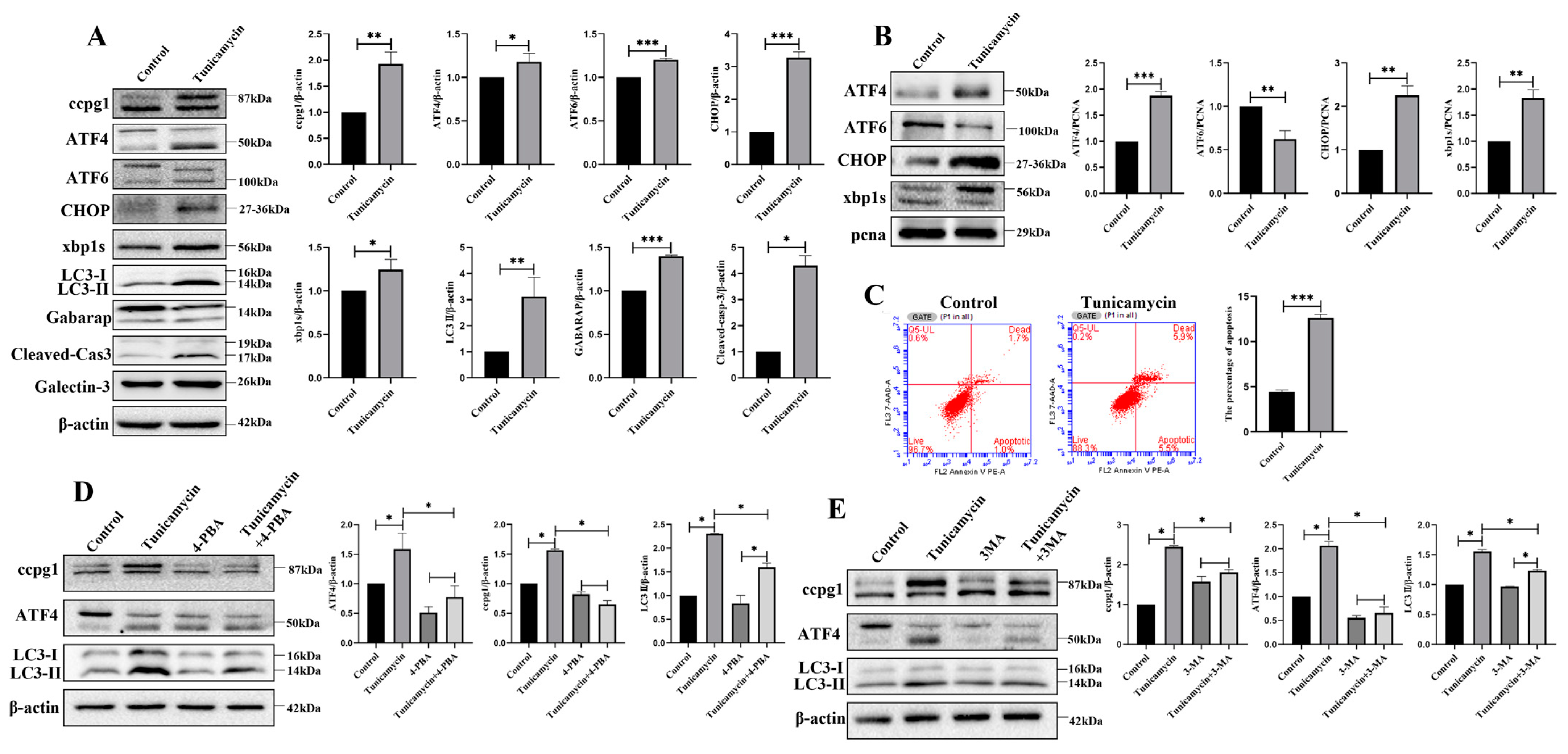Ijms 24 02749 g002 Ijms 24 02749 g002