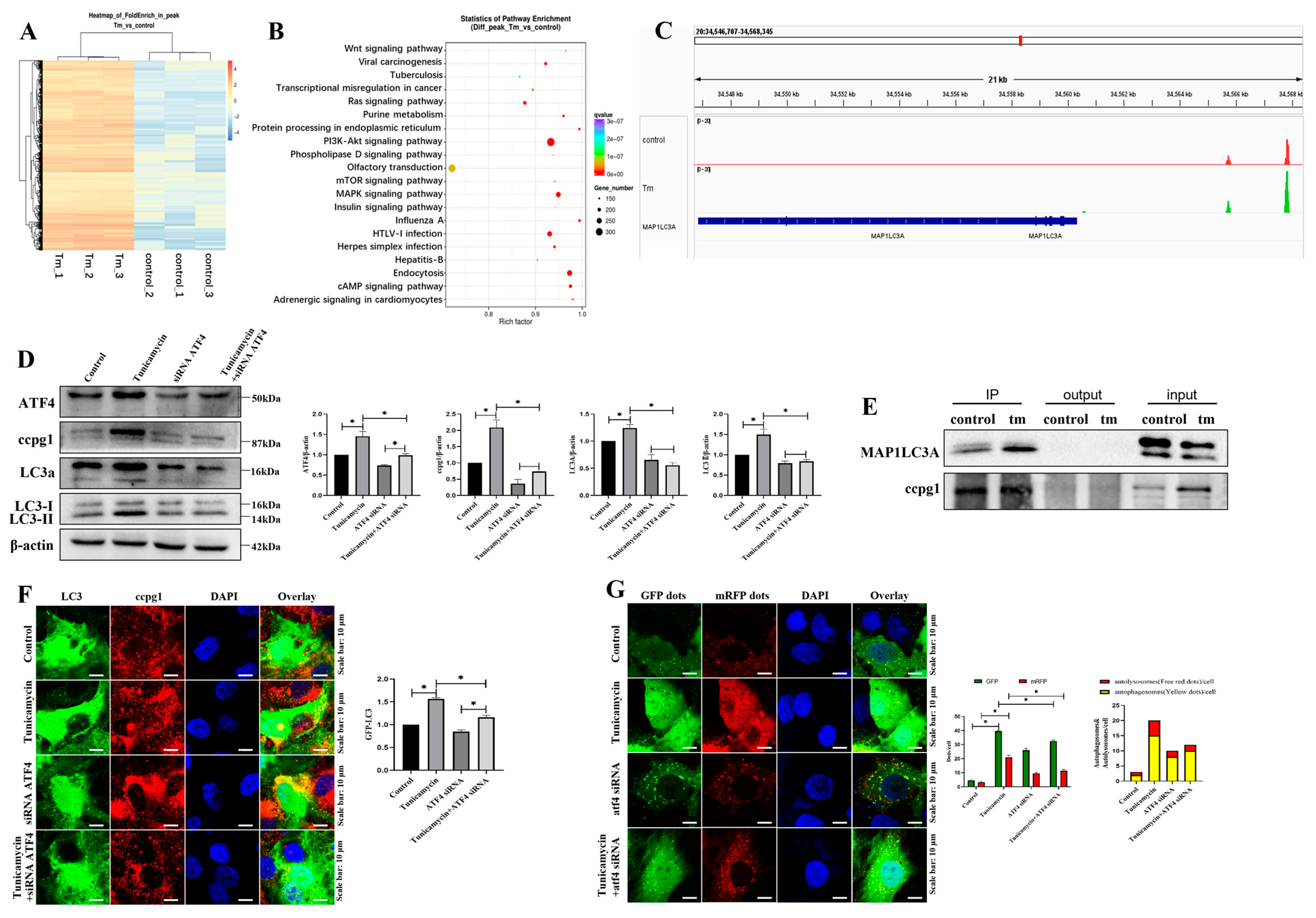 Ijms 24 02749 g004 Ijms 24 02749 g004