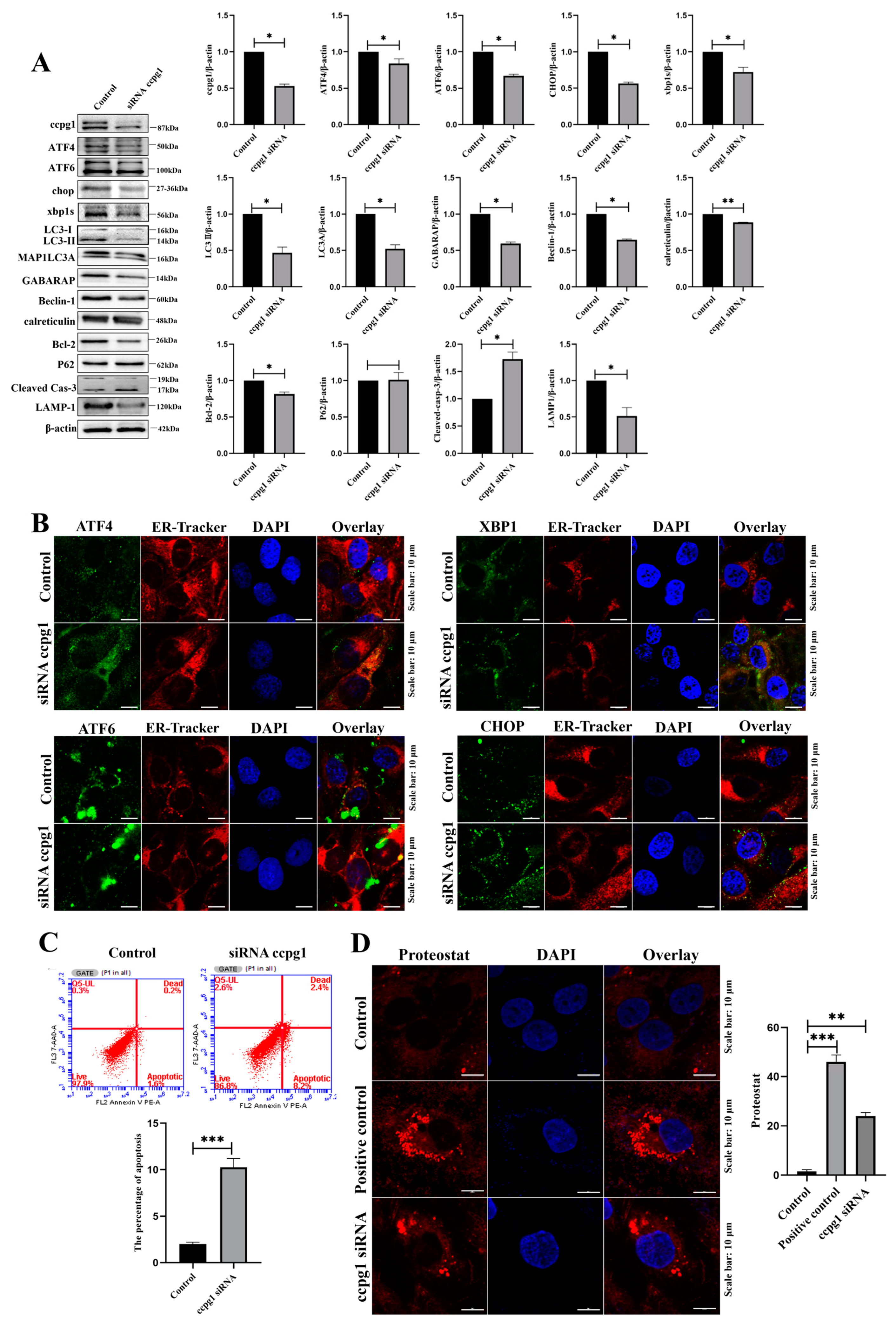 Ijms 24 02749 g005 Ijms 24 02749 g005