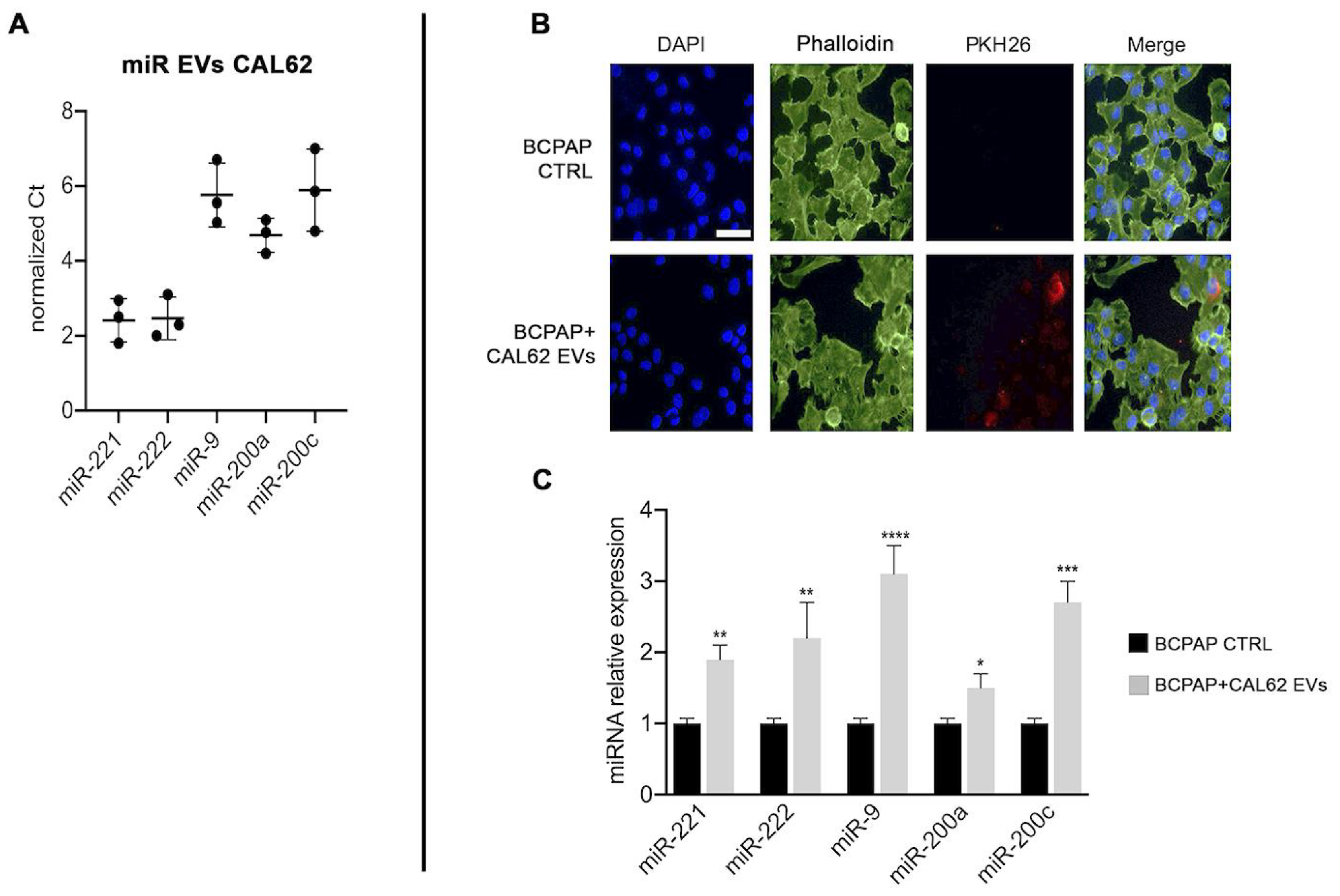 Ijms 24 02754 g003 550
