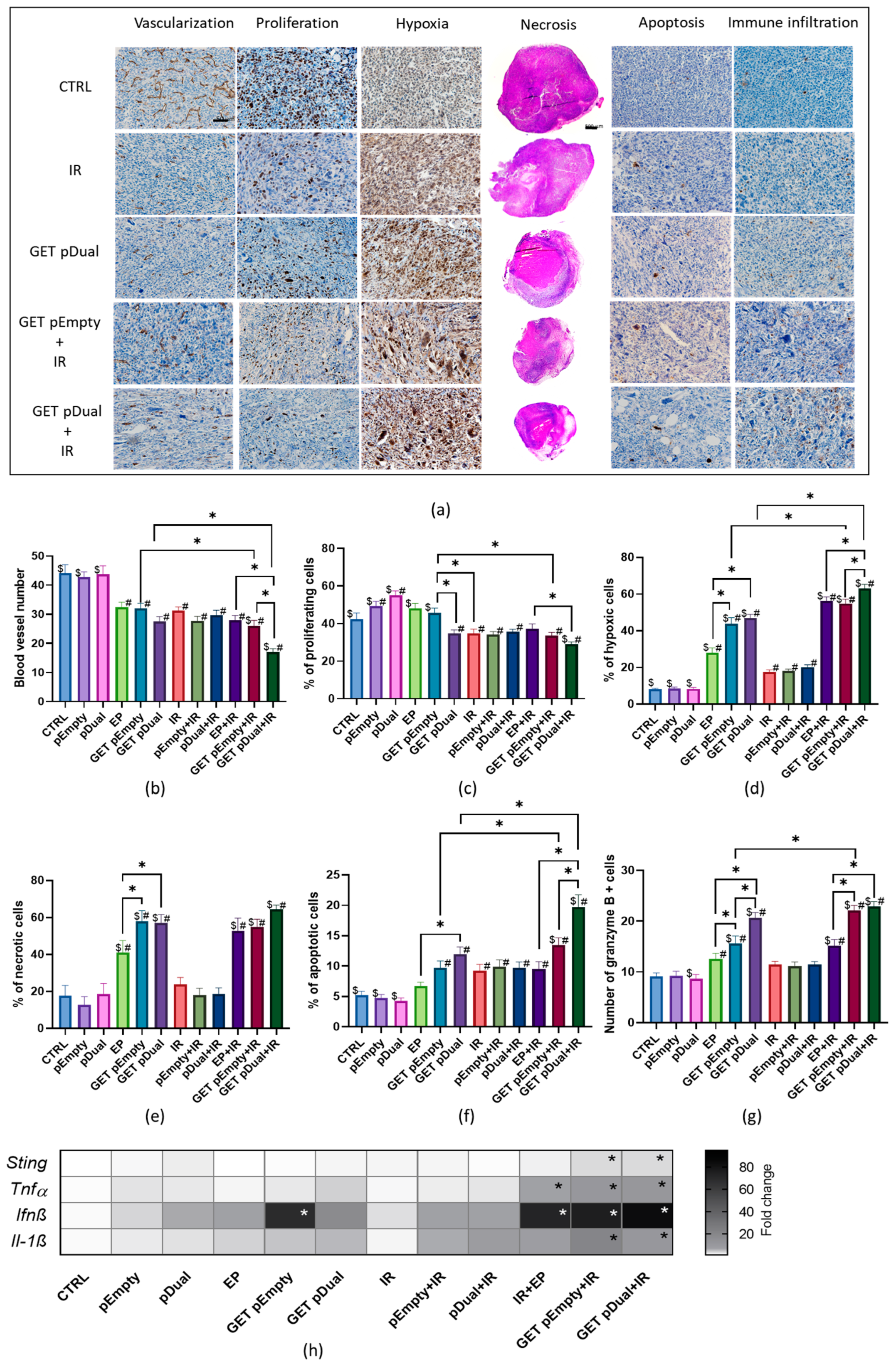 Ijms 24 02755 g002 Ijms 24 02755 g002