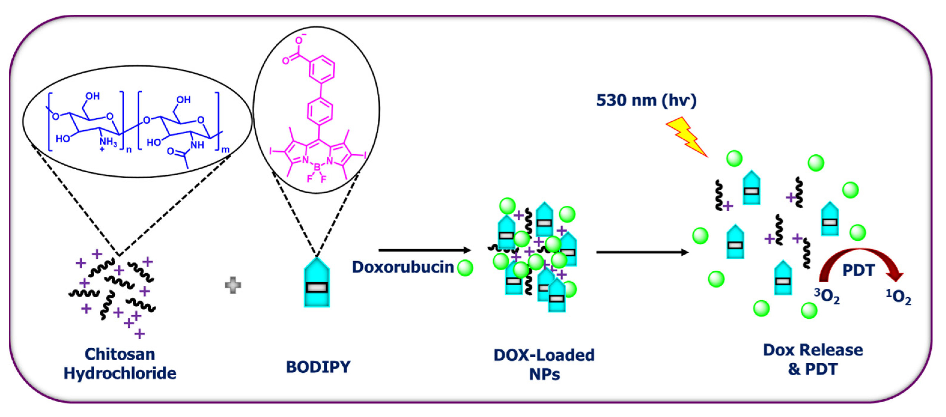 Ijms 24 02757 sch002