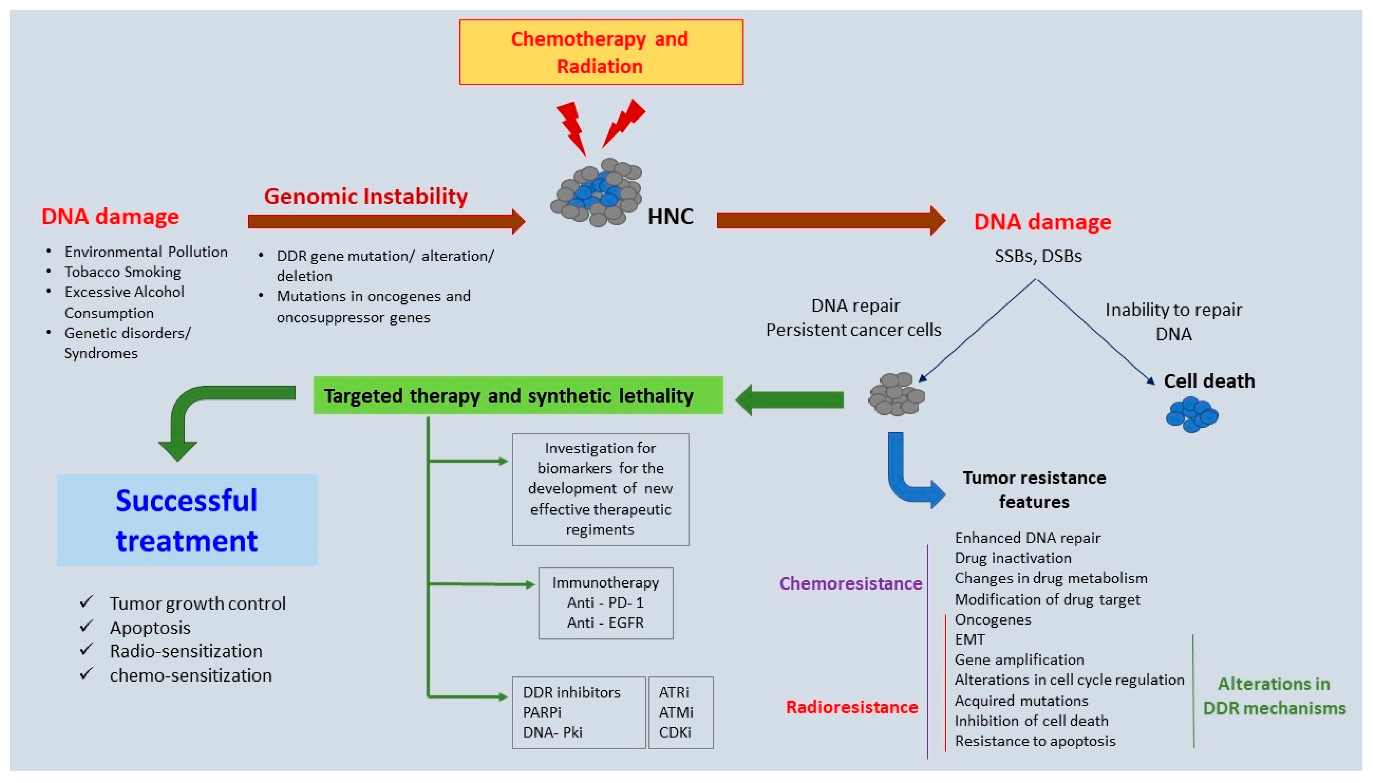 Ijms 24 02760 g002 Ijms 24 02760 g002