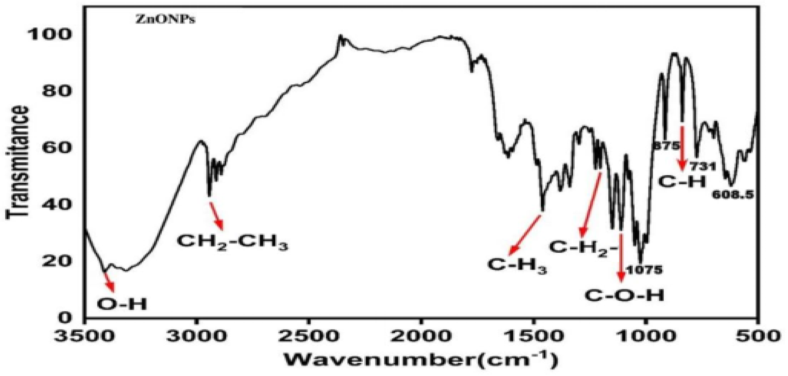 Ijms 24 02778 g004 550