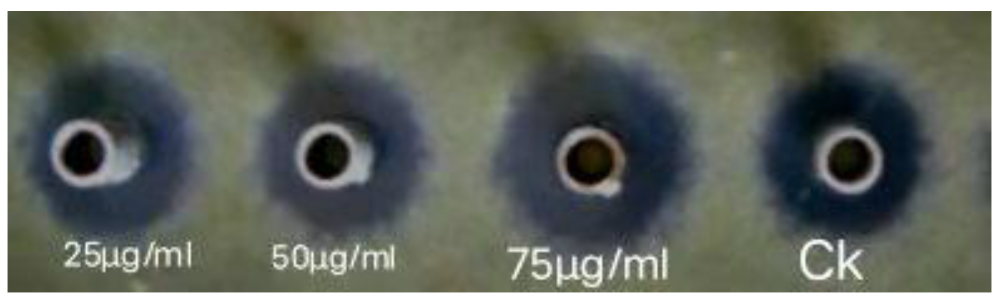 Ijms 24 02778 g005 550