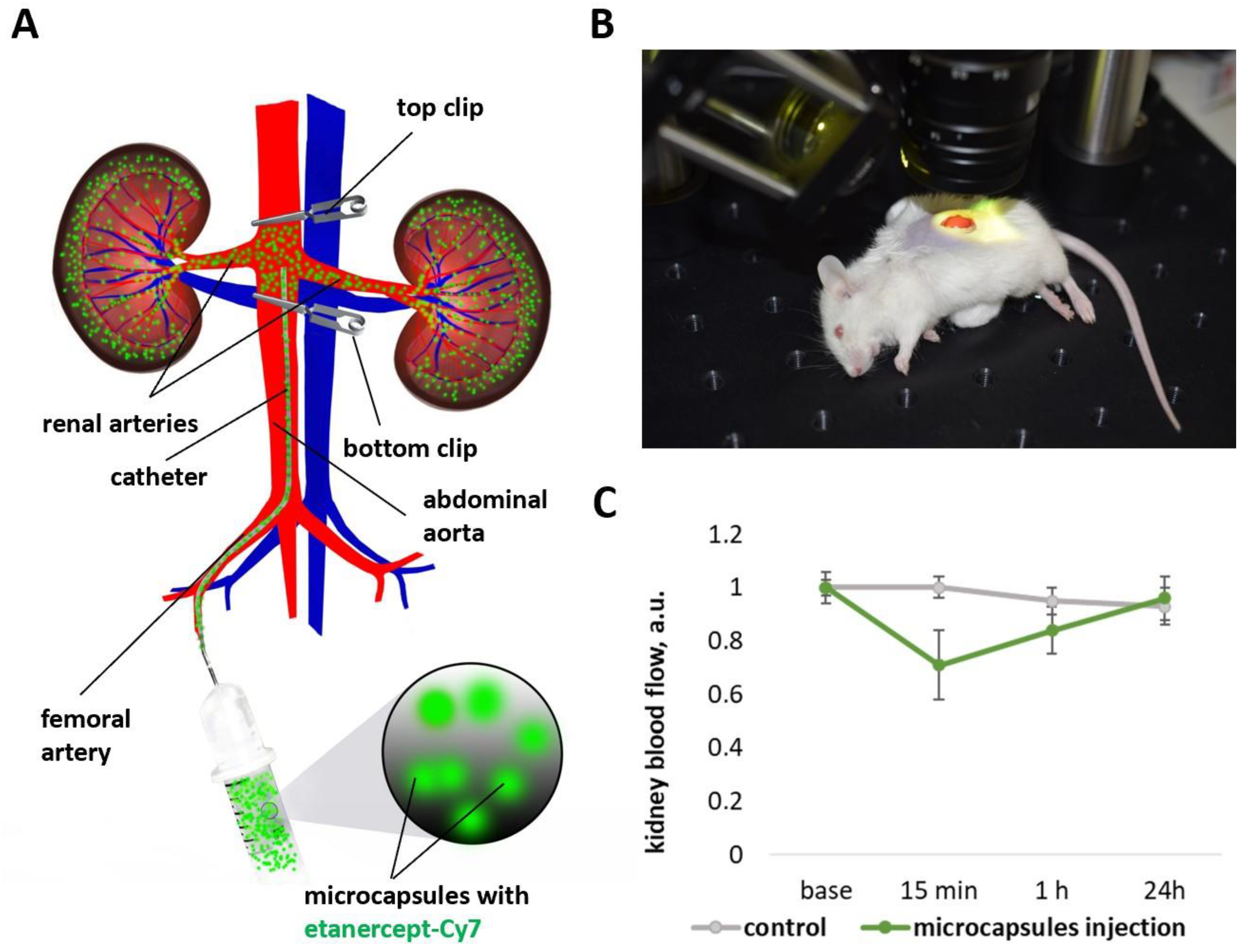 Ijms 24 02784 g002 Ijms 24 02784 g002