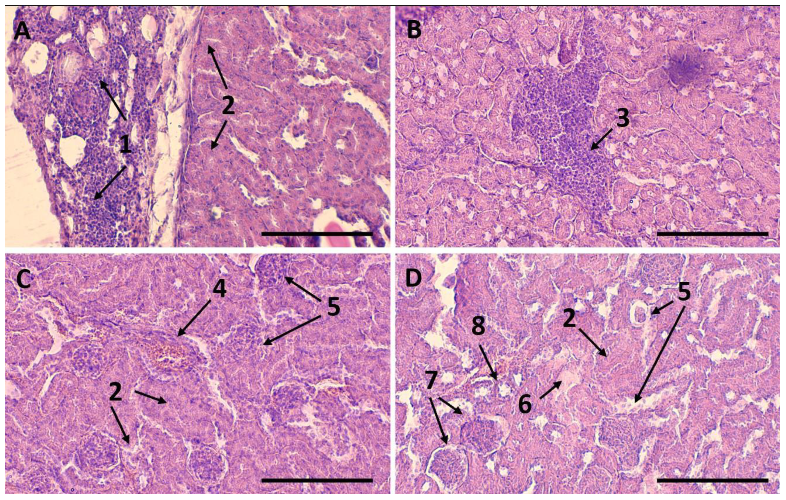 Ijms 24 02784 g0a3 Ijms 24 02784 g0a3