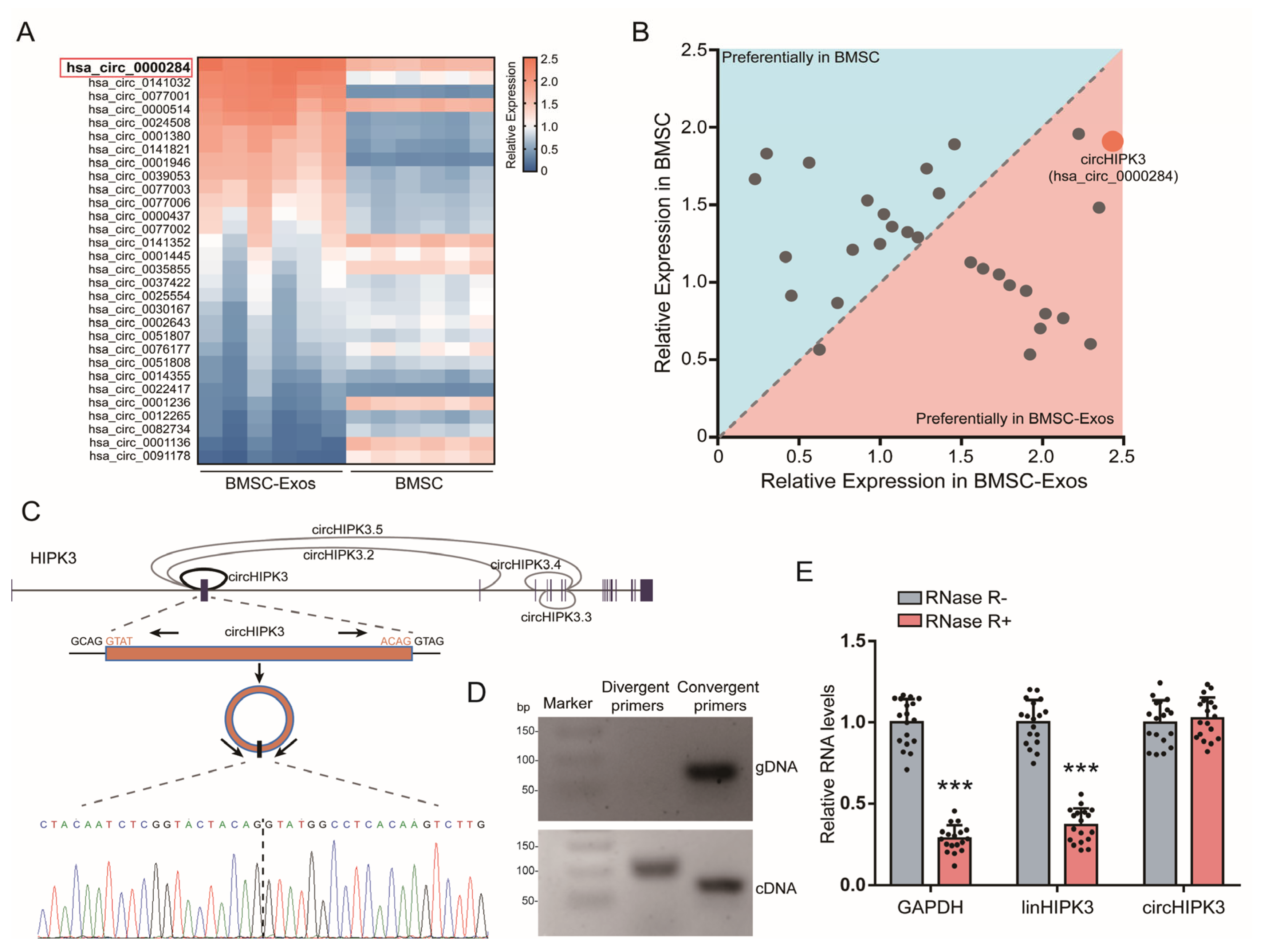 Ijms 24 02785 g002 Ijms 24 02785 g002