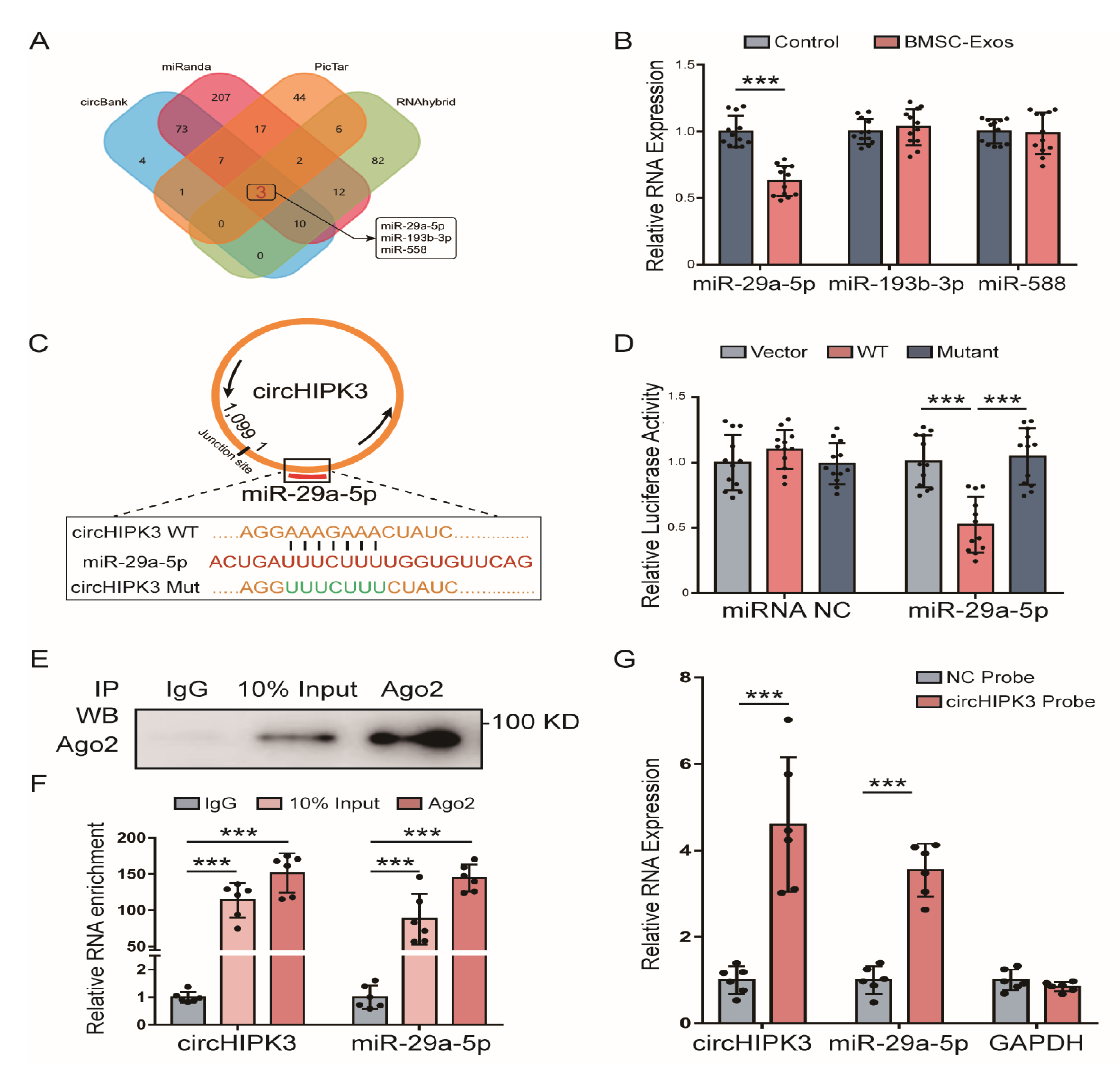 Ijms 24 02785 g004 Ijms 24 02785 g004