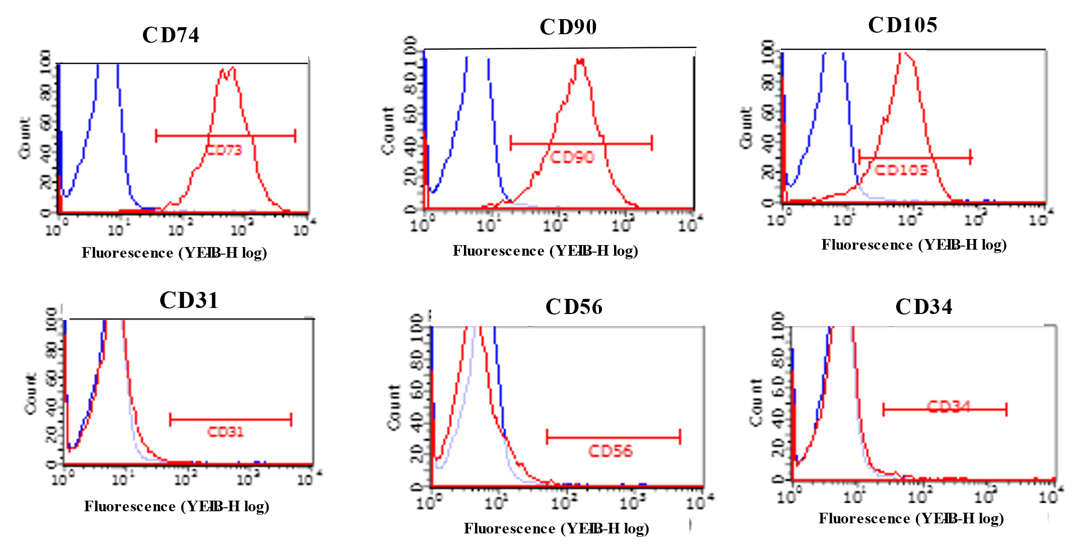 Ijms 24 02786 g002 Ijms 24 02786 g002
