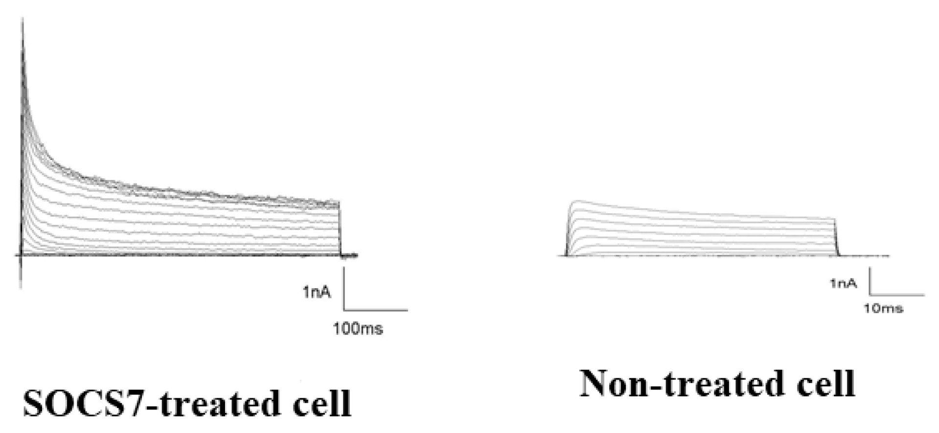 Ijms 24 02786 g006 Ijms 24 02786 g006