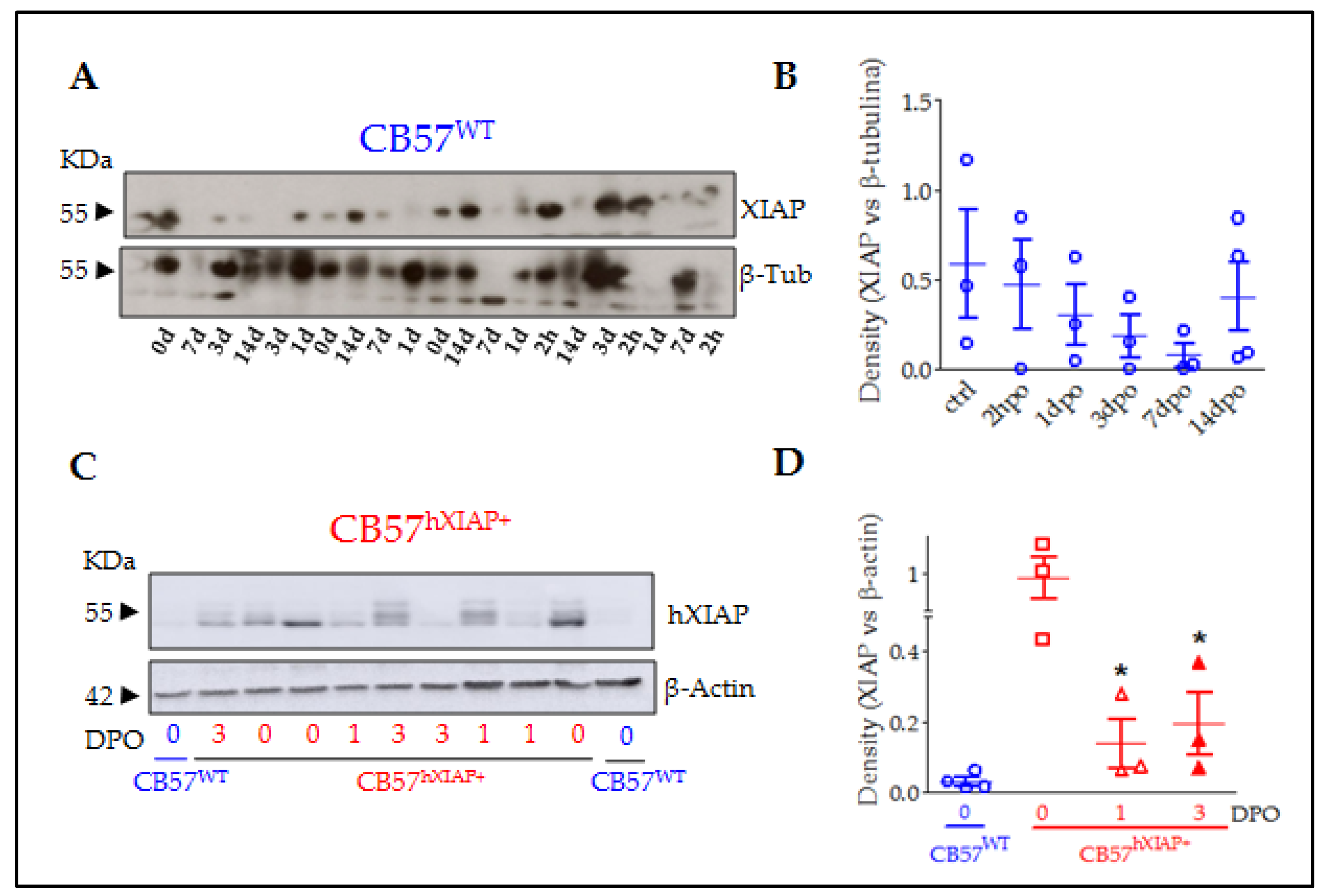Ijms 24 02791 g001 Ijms 24 02791 g001