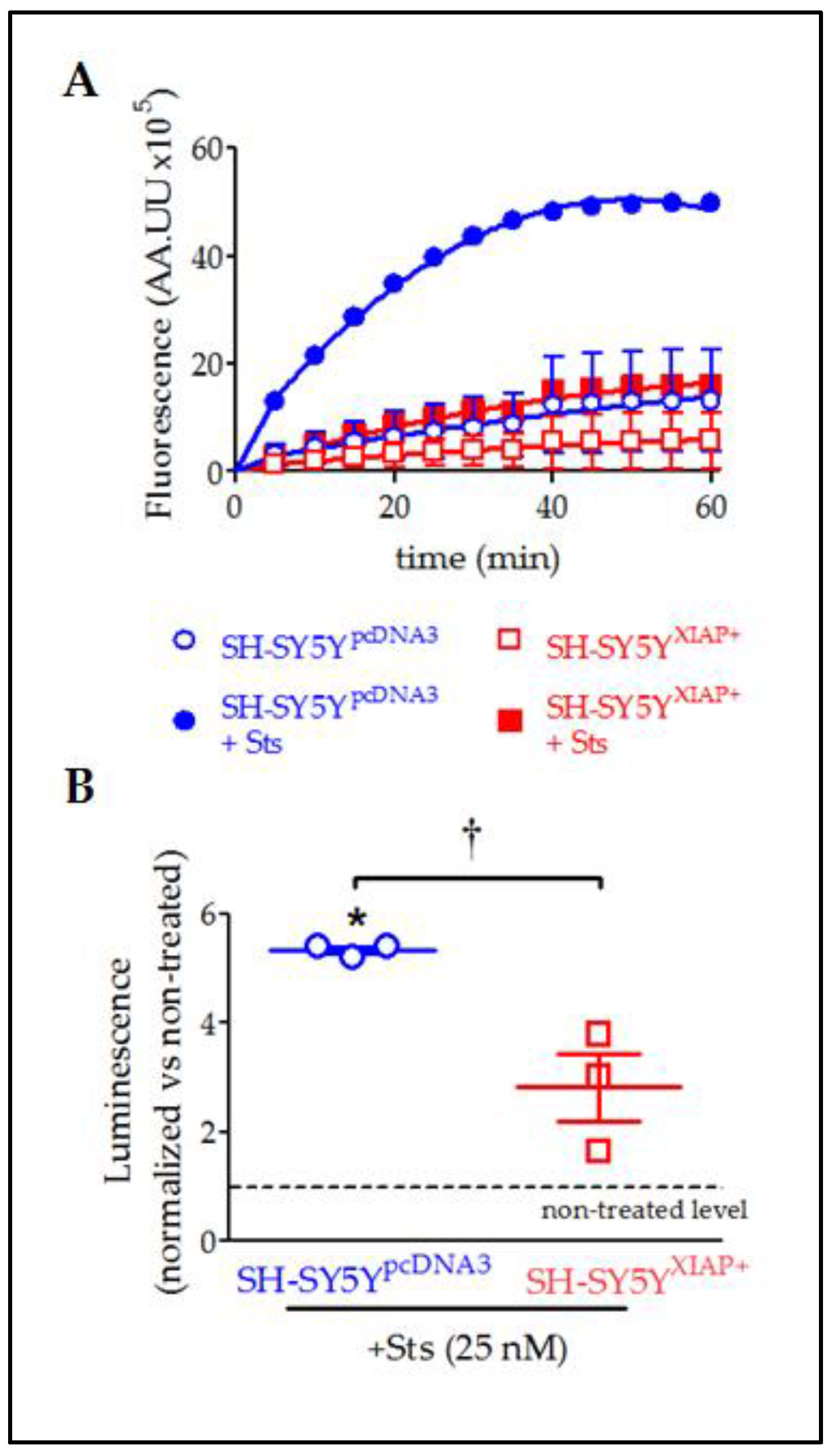 Ijms 24 02791 g008 Ijms 24 02791 g008