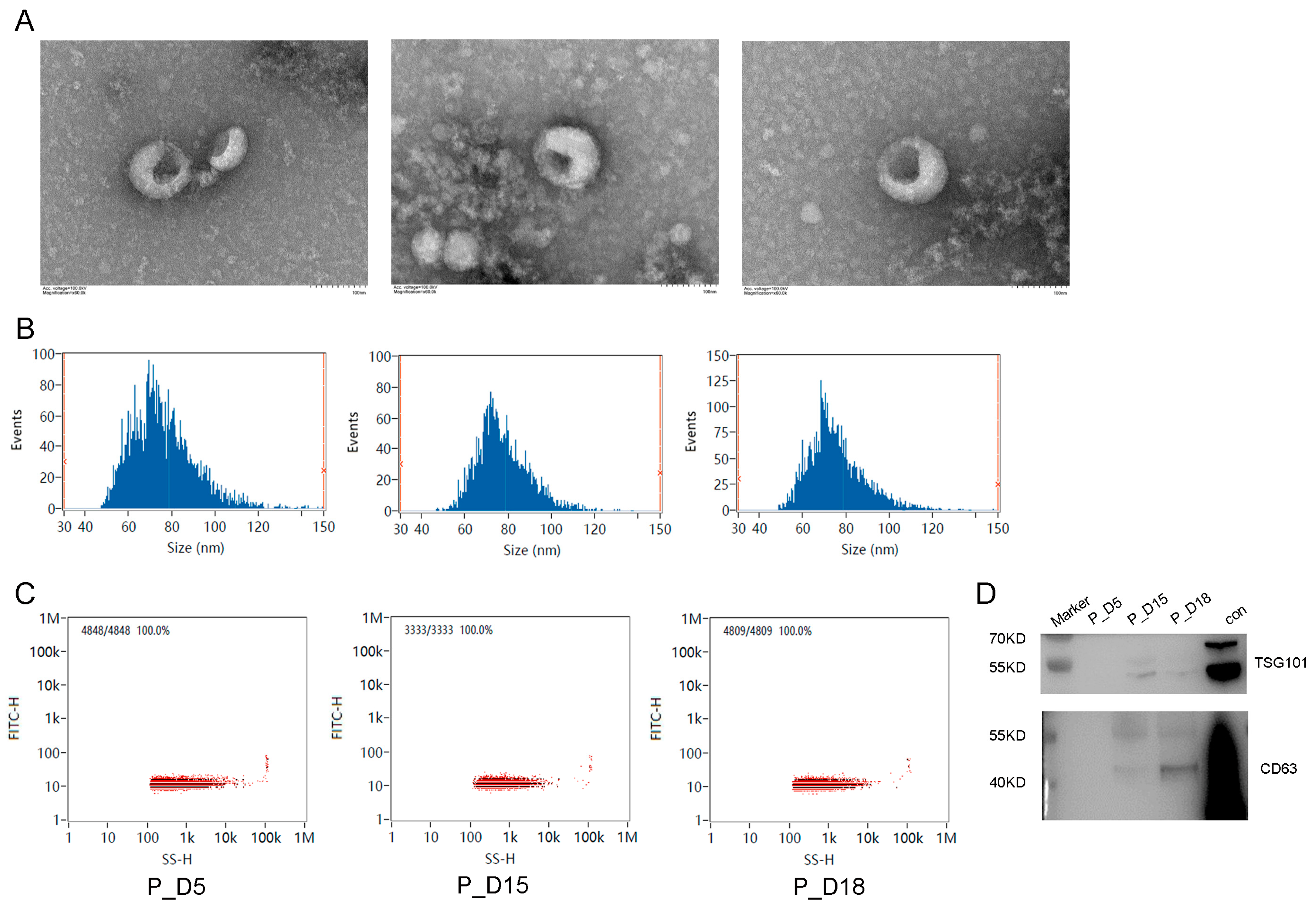 Ijms 24 02799 g001 Ijms 24 02799 g001