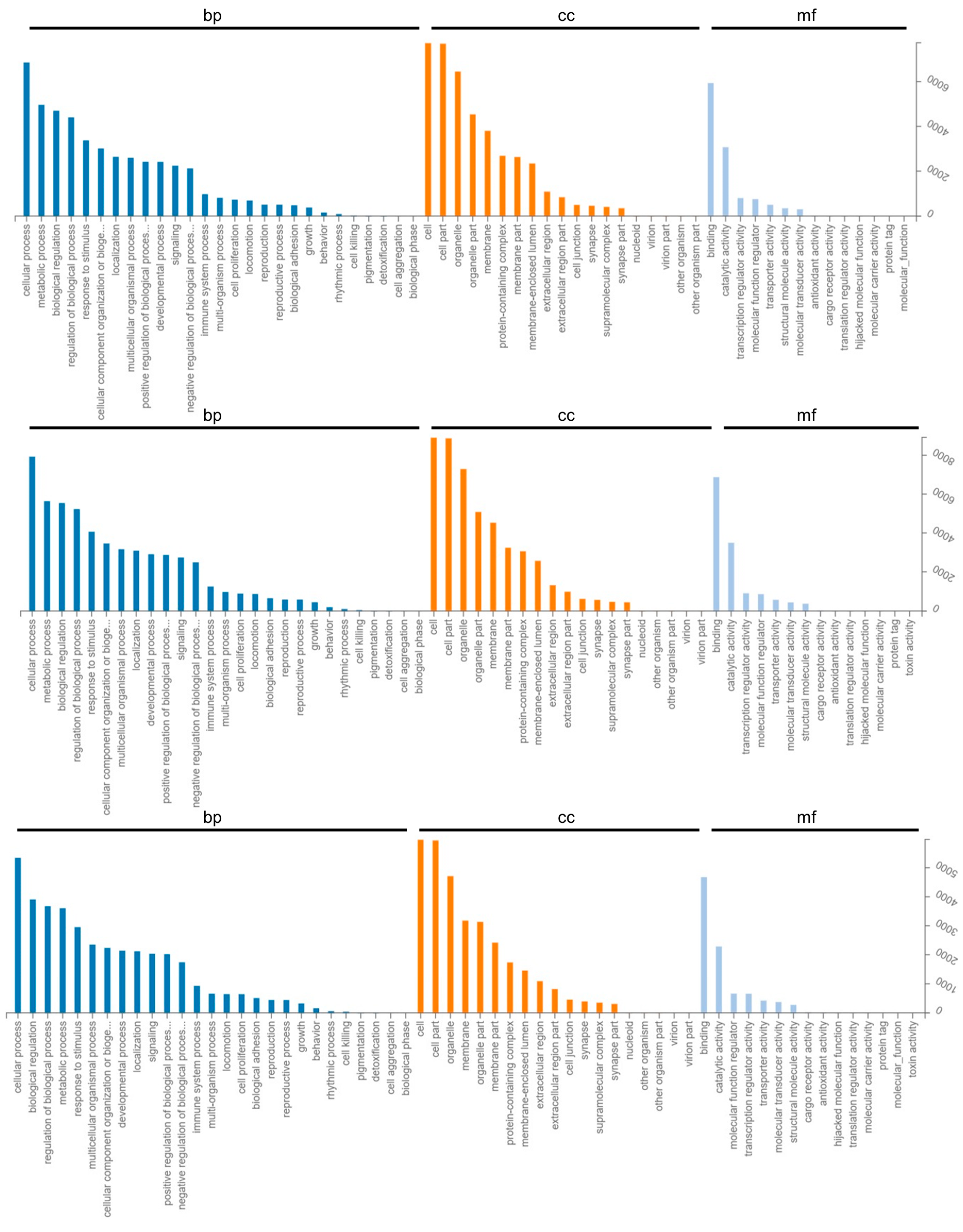 Ijms 24 02799 g004 Ijms 24 02799 g004
