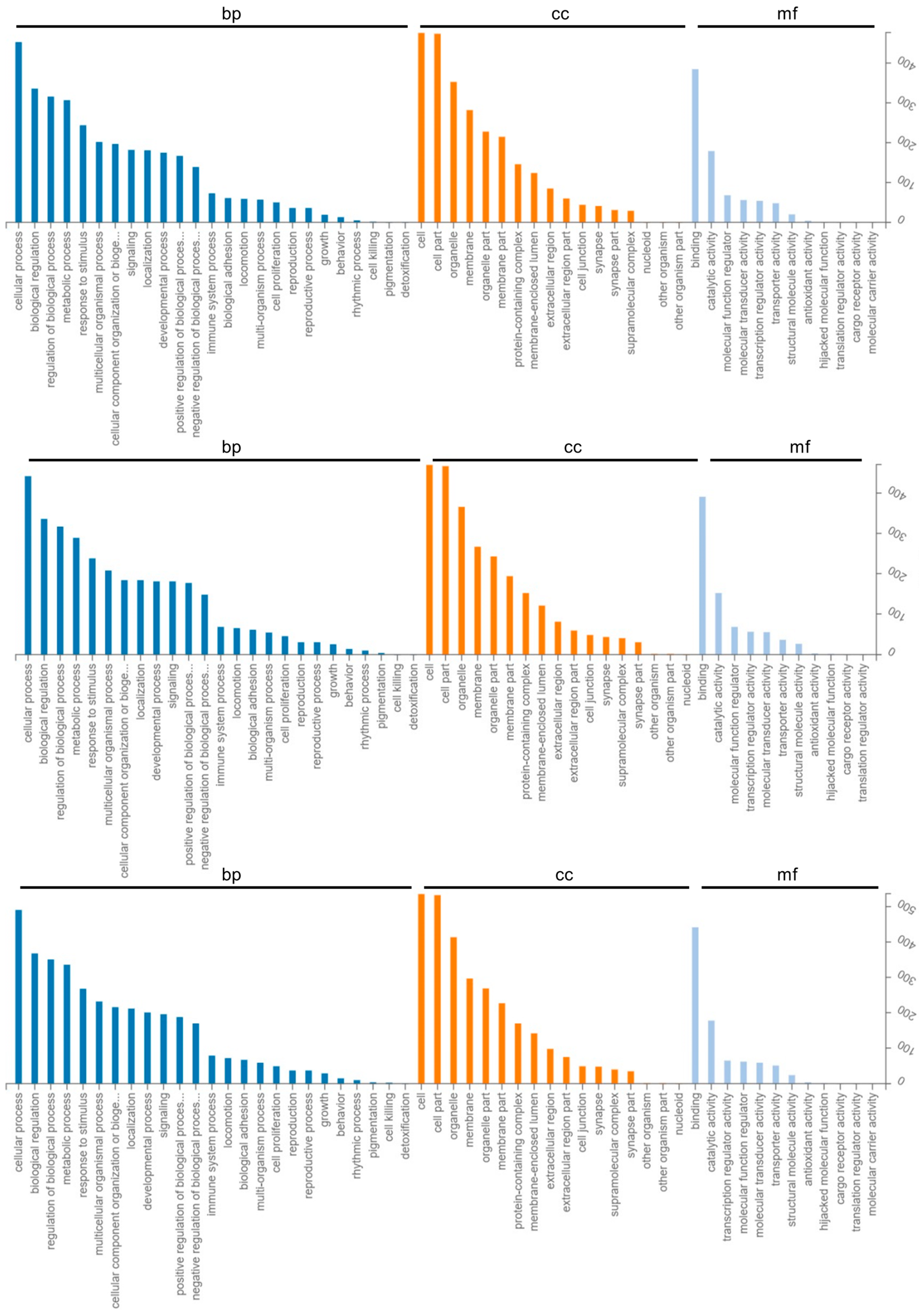 Ijms 24 02799 g005 Ijms 24 02799 g005