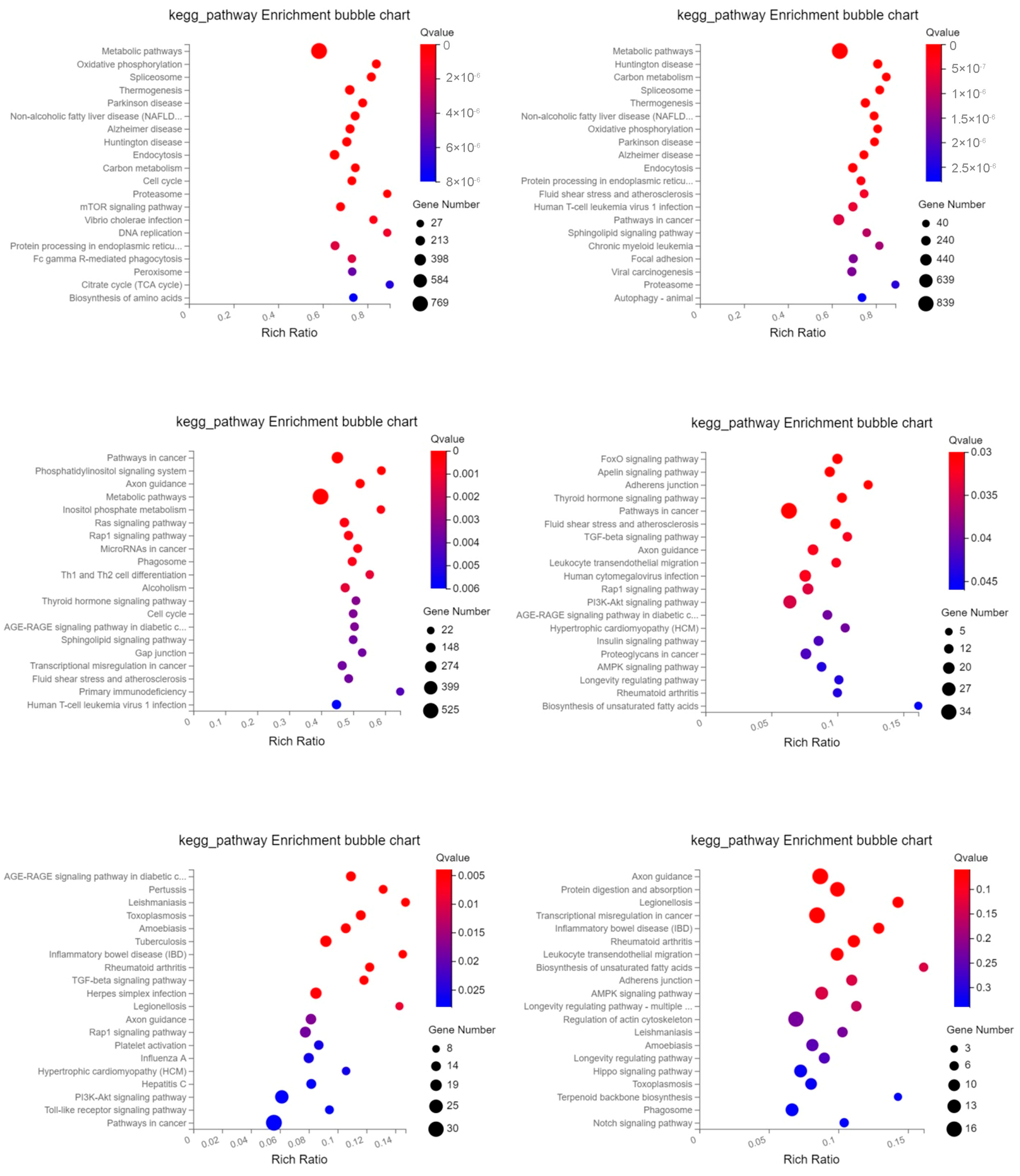 Ijms 24 02799 g006 Ijms 24 02799 g006