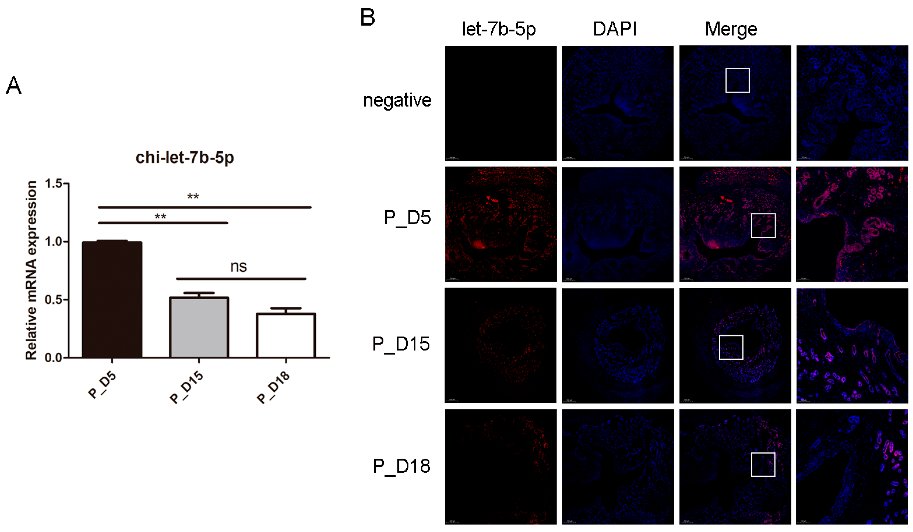 Ijms 24 02799 g008 Ijms 24 02799 g008