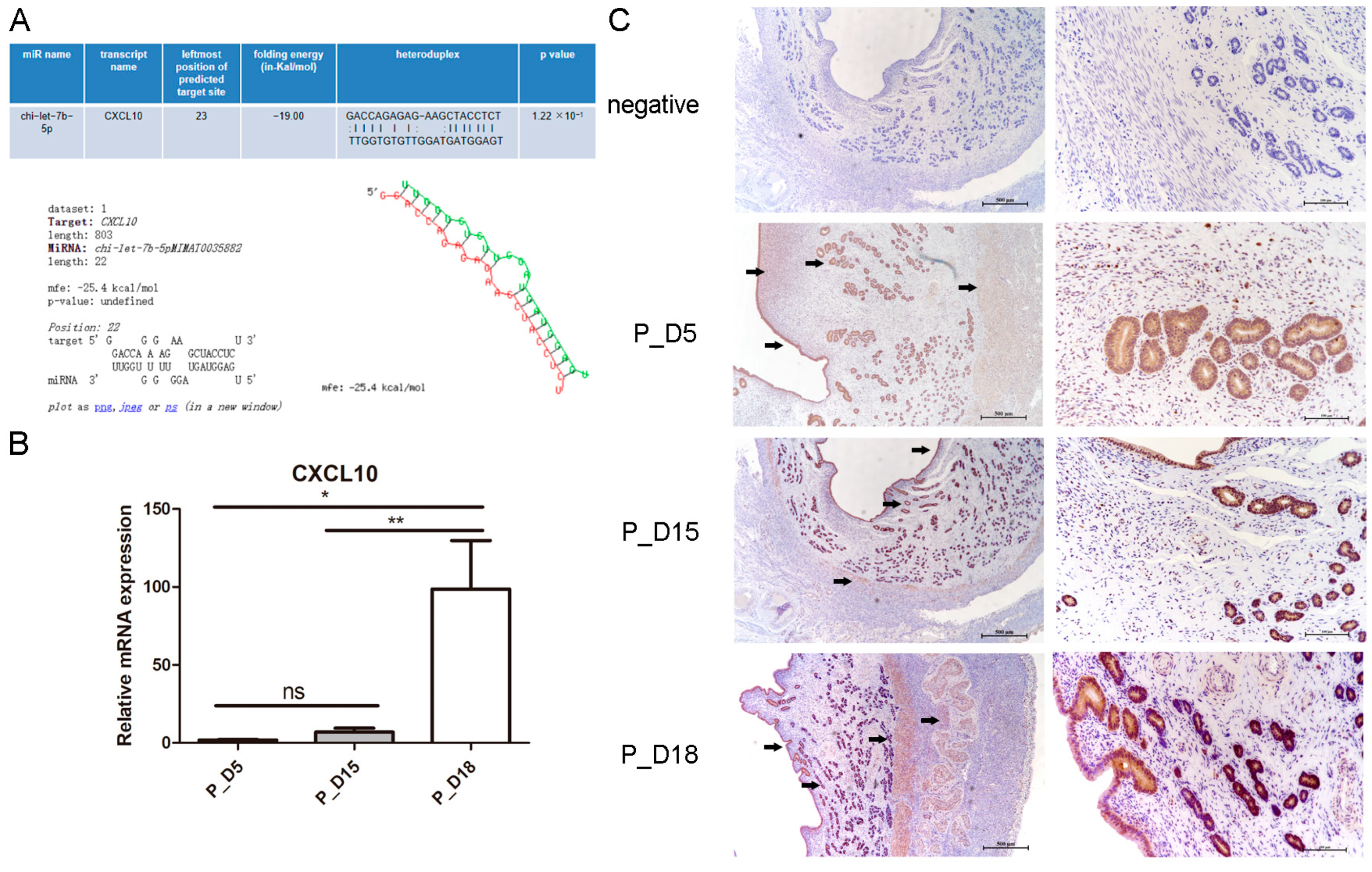 Ijms 24 02799 g010 Ijms 24 02799 g010
