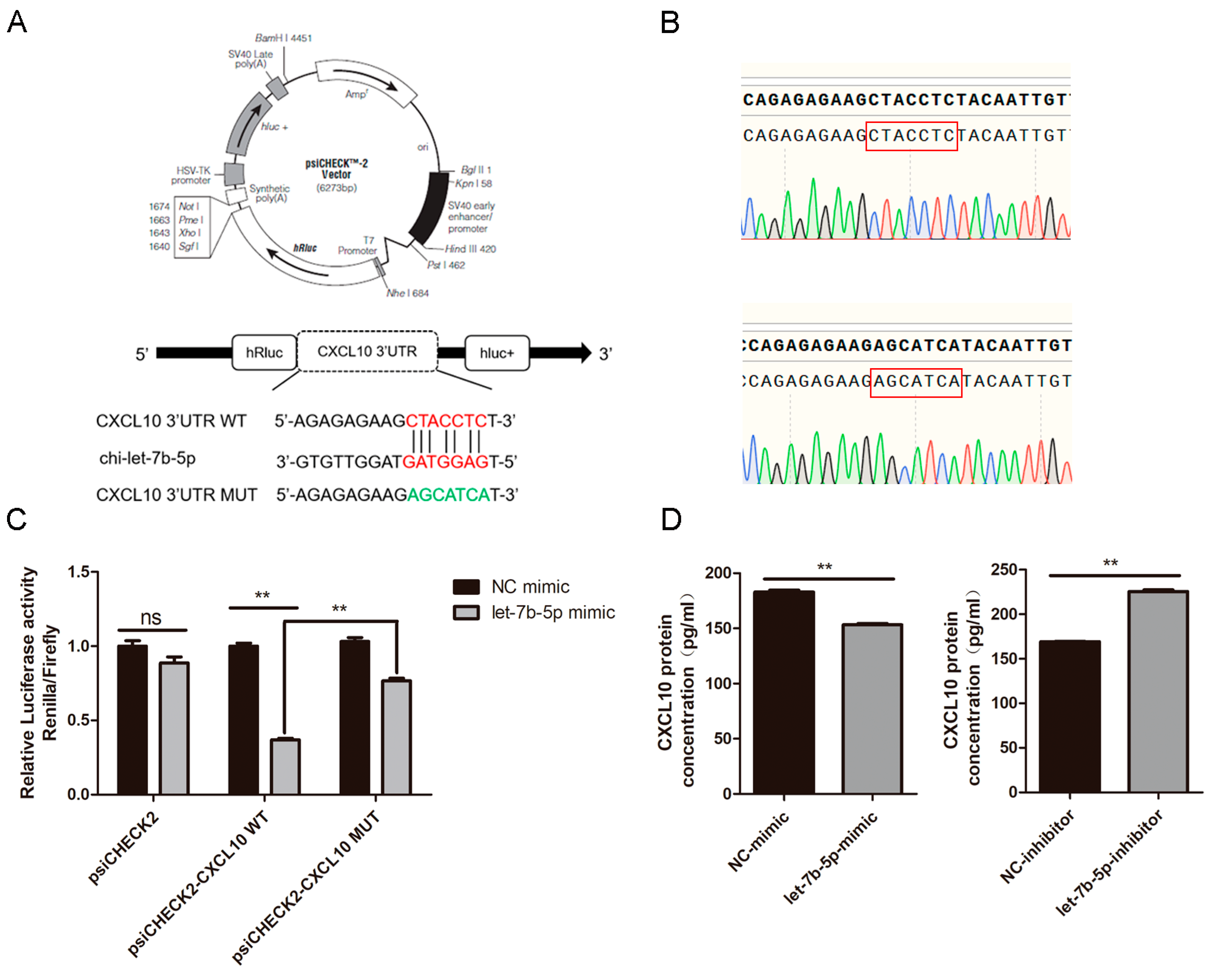 Ijms 24 02799 g011 Ijms 24 02799 g011