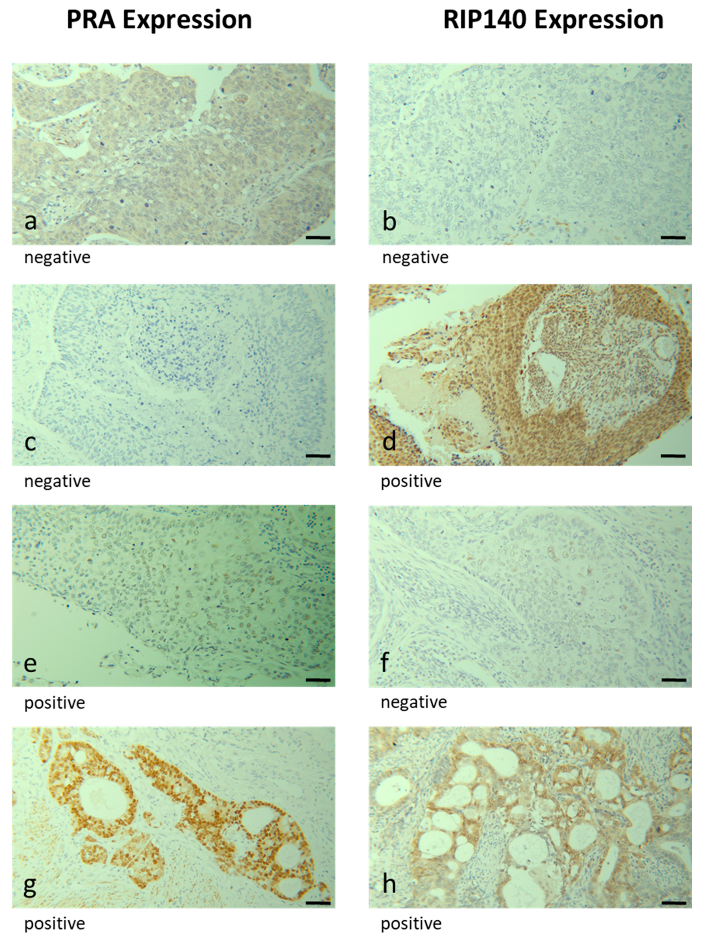 Ijms 24 02815 g002