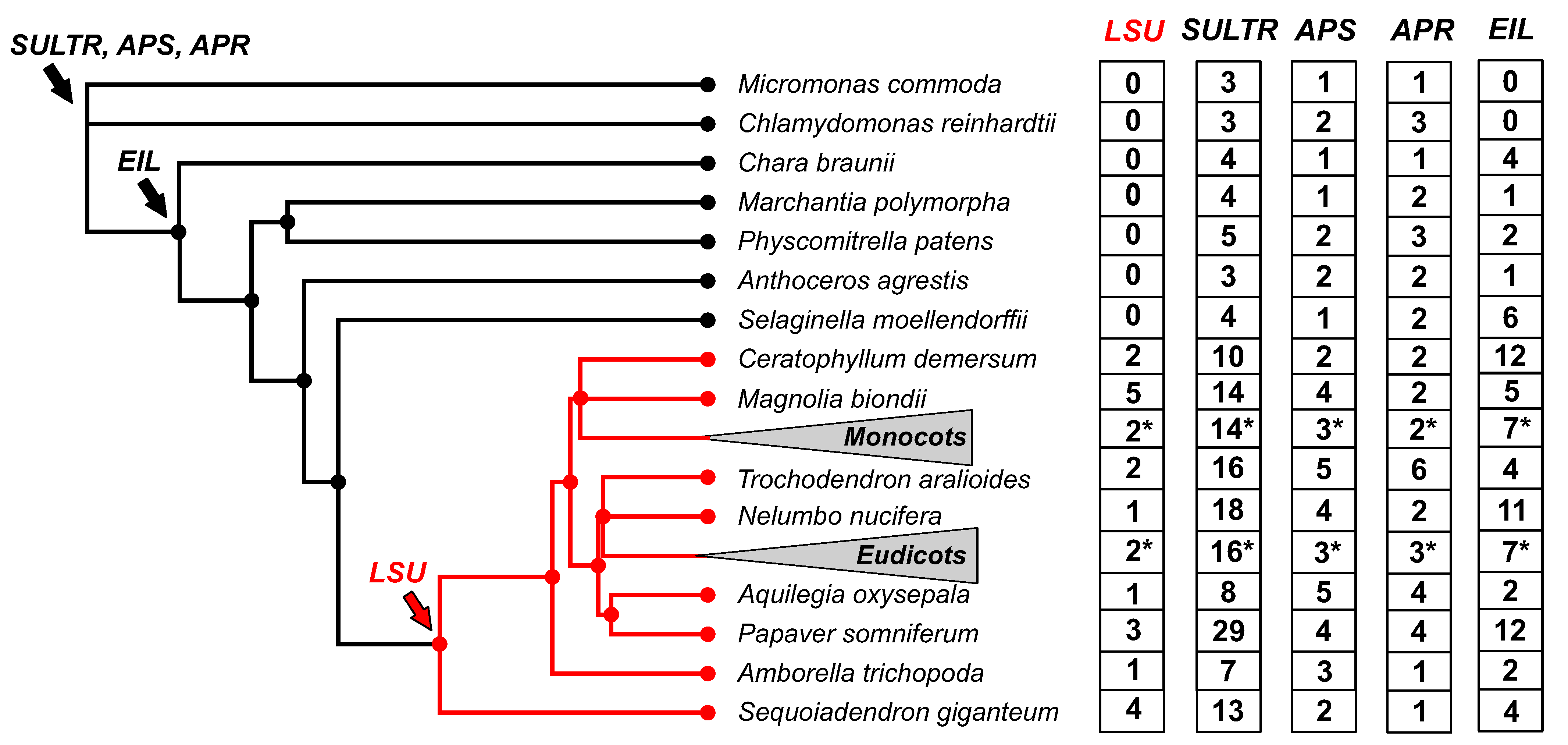 Ijms 24 02819 g001 Ijms 24 02819 g001