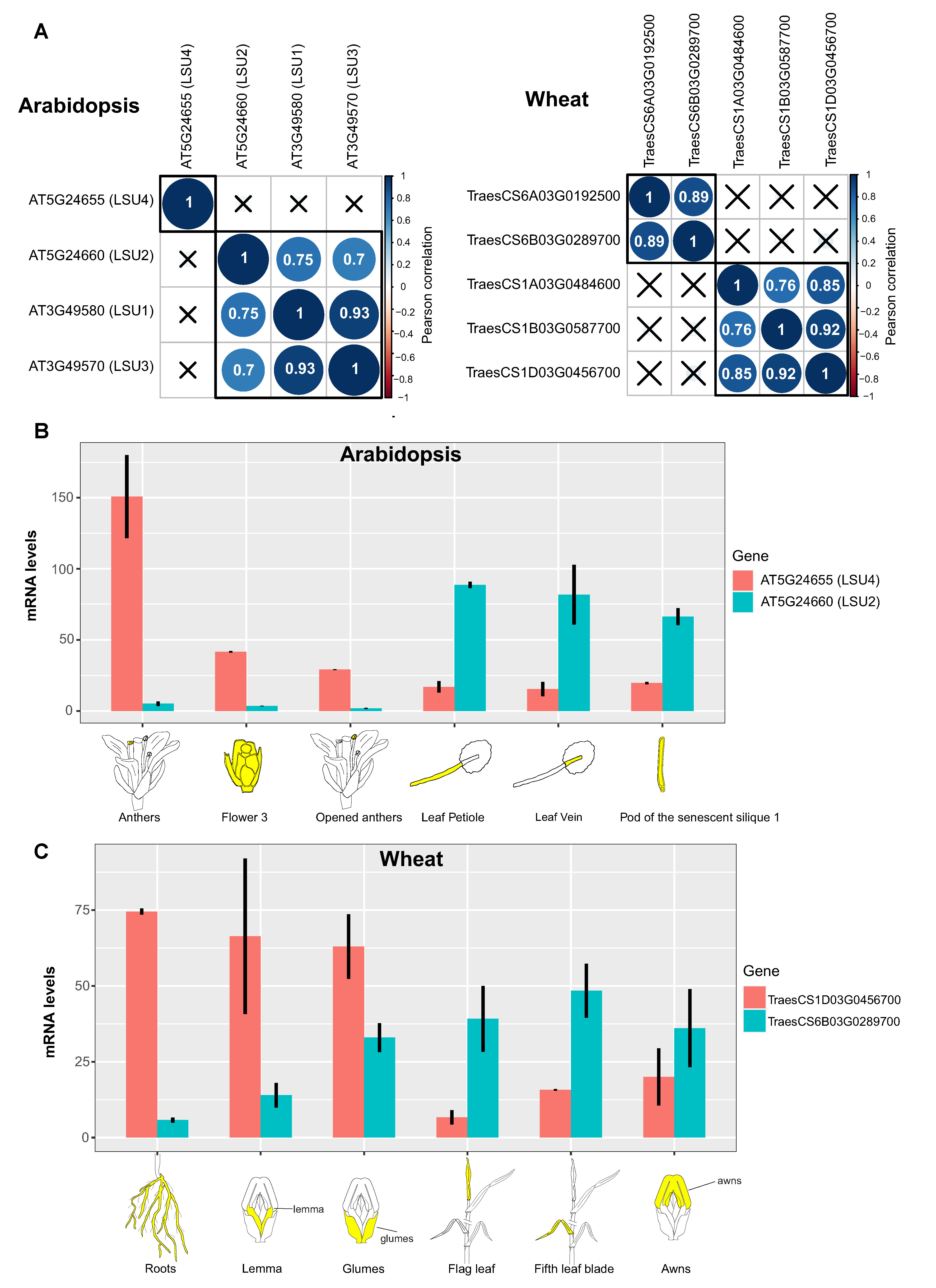 Ijms 24 02819 g002 Ijms 24 02819 g002