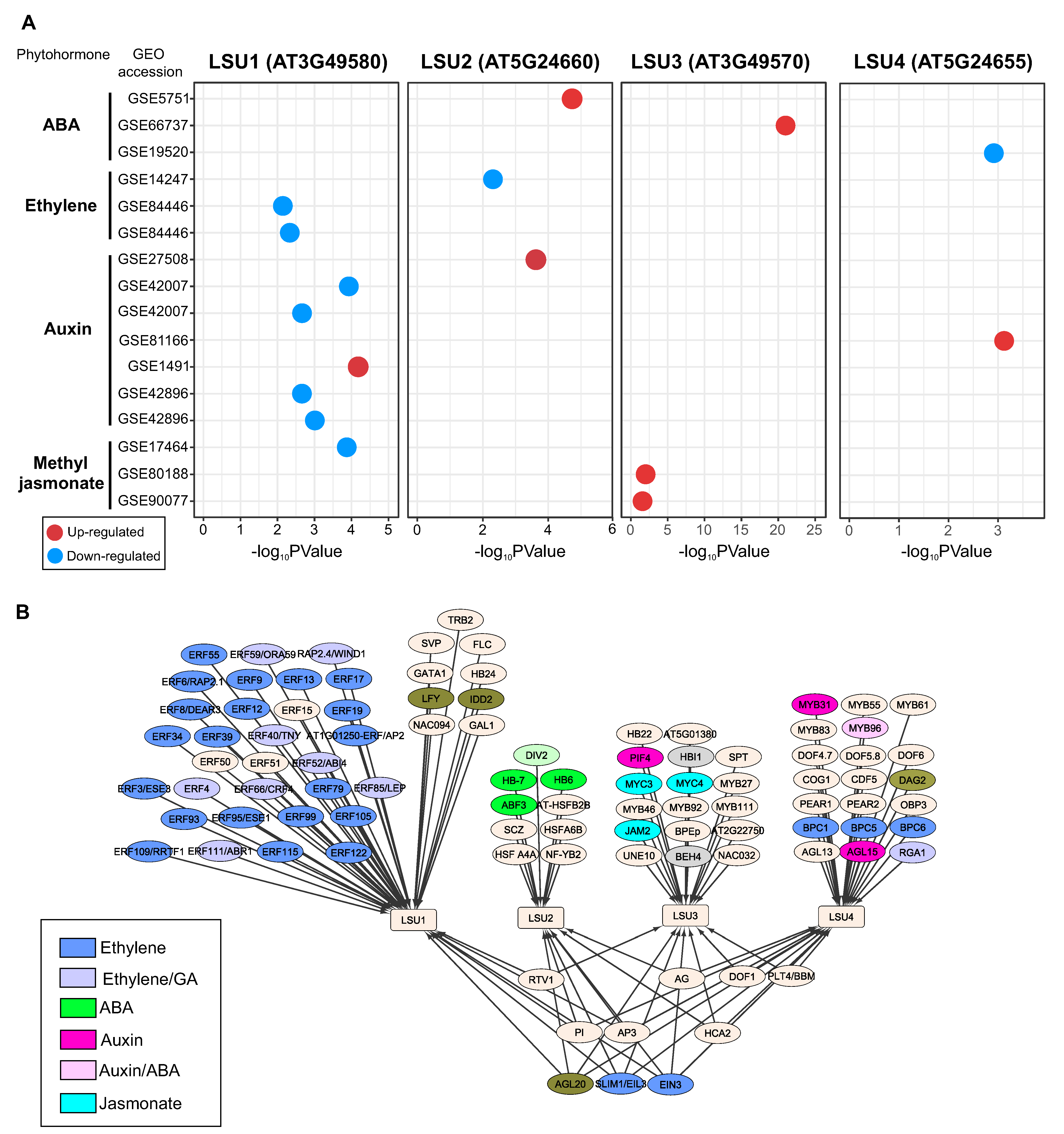Ijms 24 02819 g003 Ijms 24 02819 g003