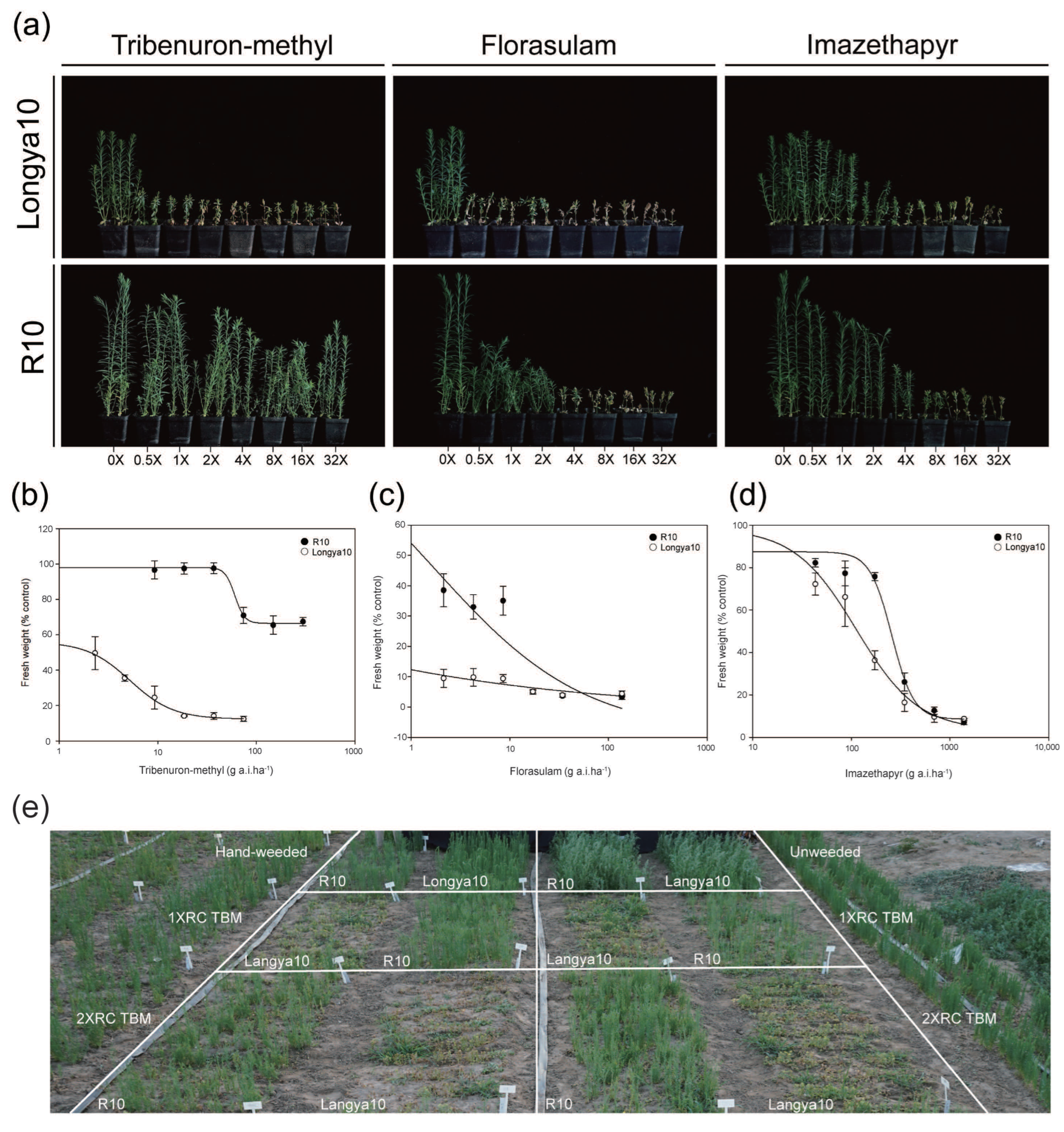 Ijms 24 02820 g001 Ijms 24 02820 g001