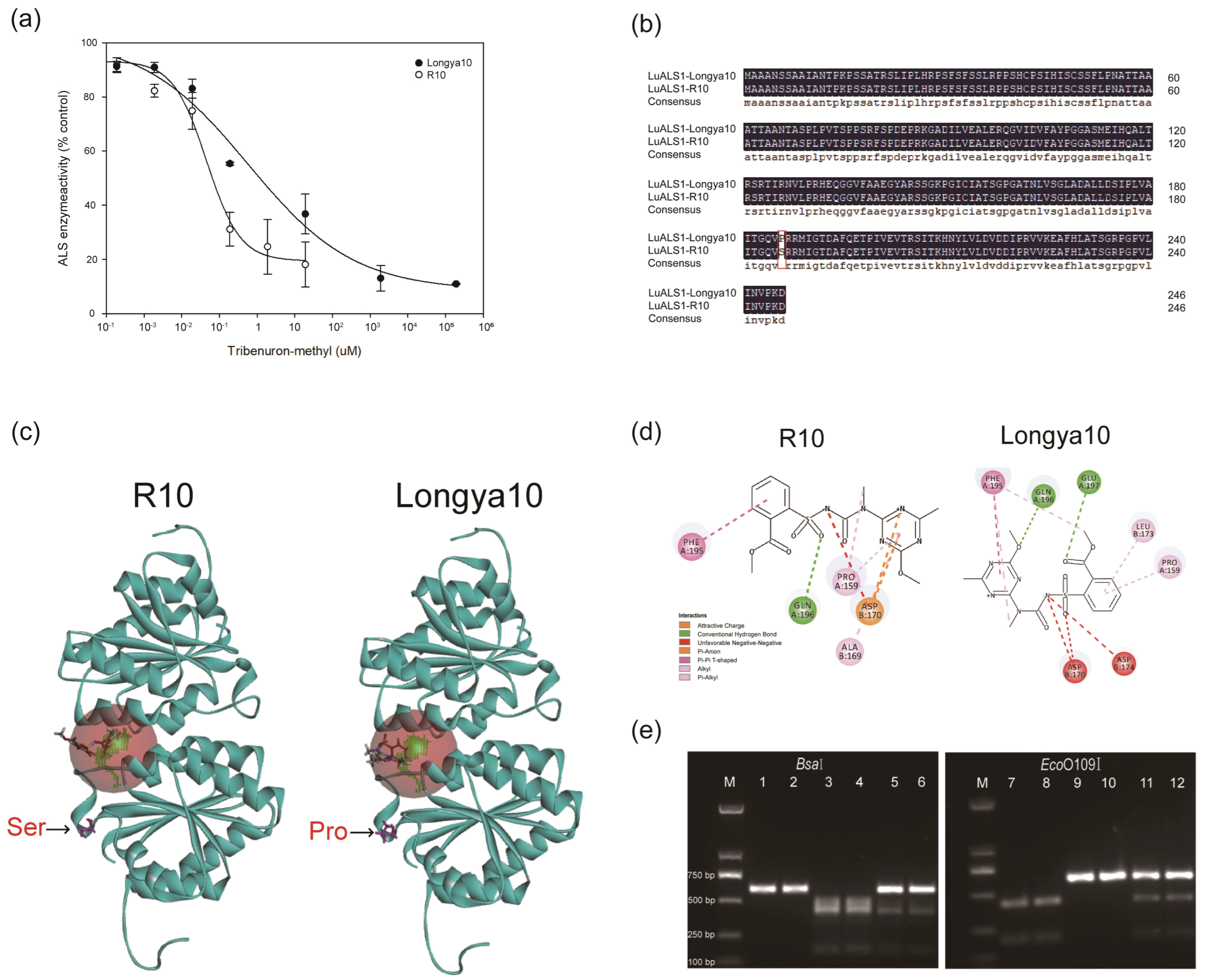 Ijms 24 02820 g002 Ijms 24 02820 g002