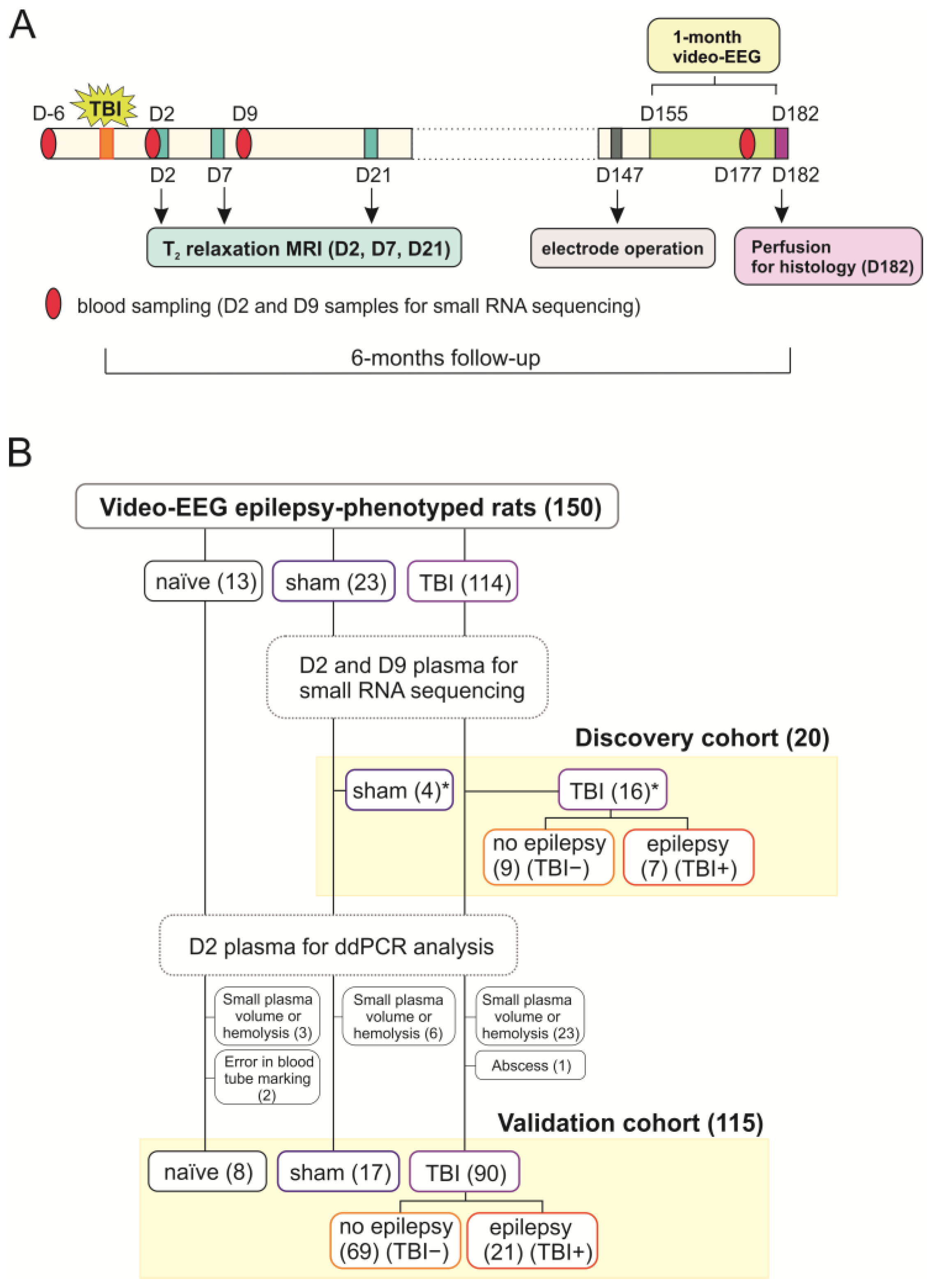 Ijms 24 02823 g011 Ijms 24 02823 g011