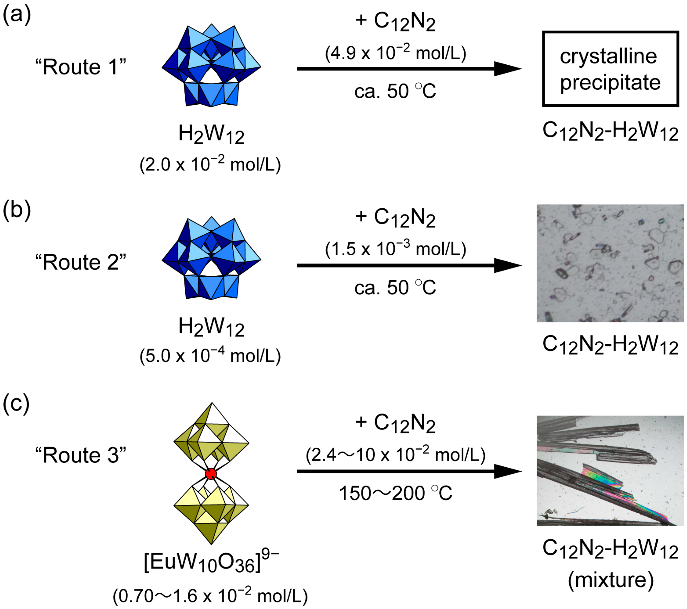 Ijms 24 02824 sch001